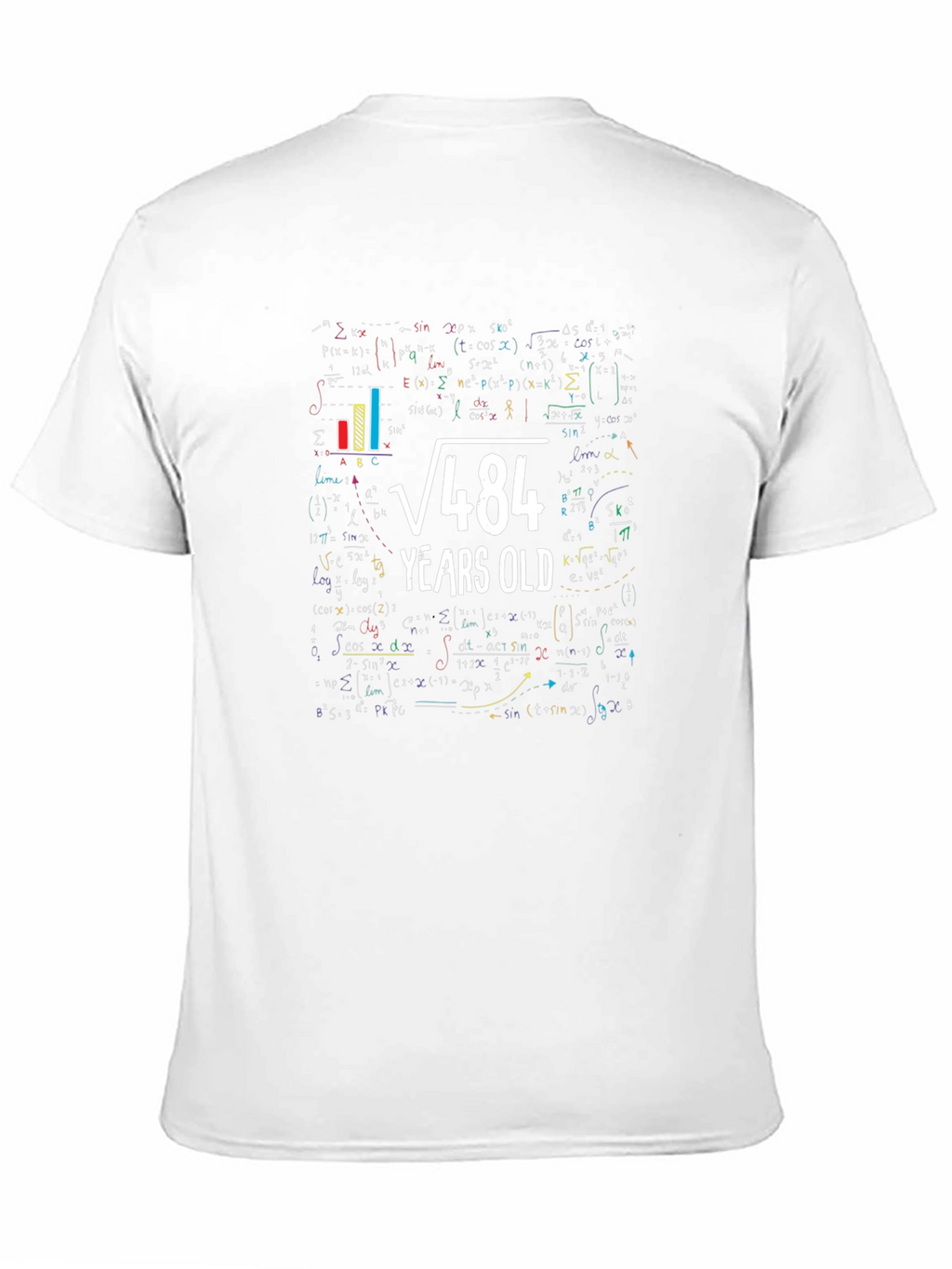 Math Formula 22 Years Old T-Shirt