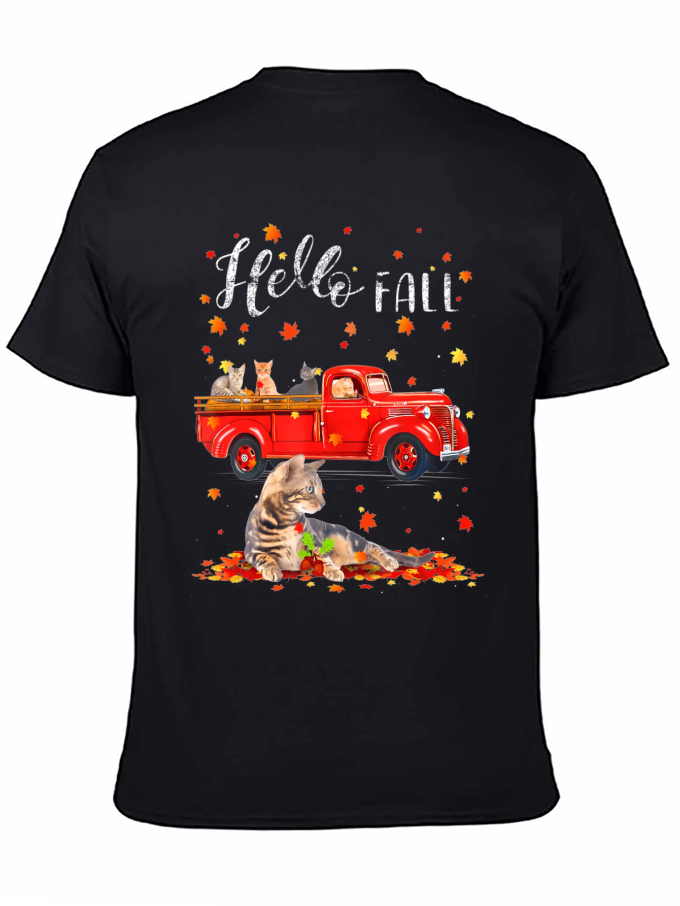 Hello Fall Cat Truck T-Shirt