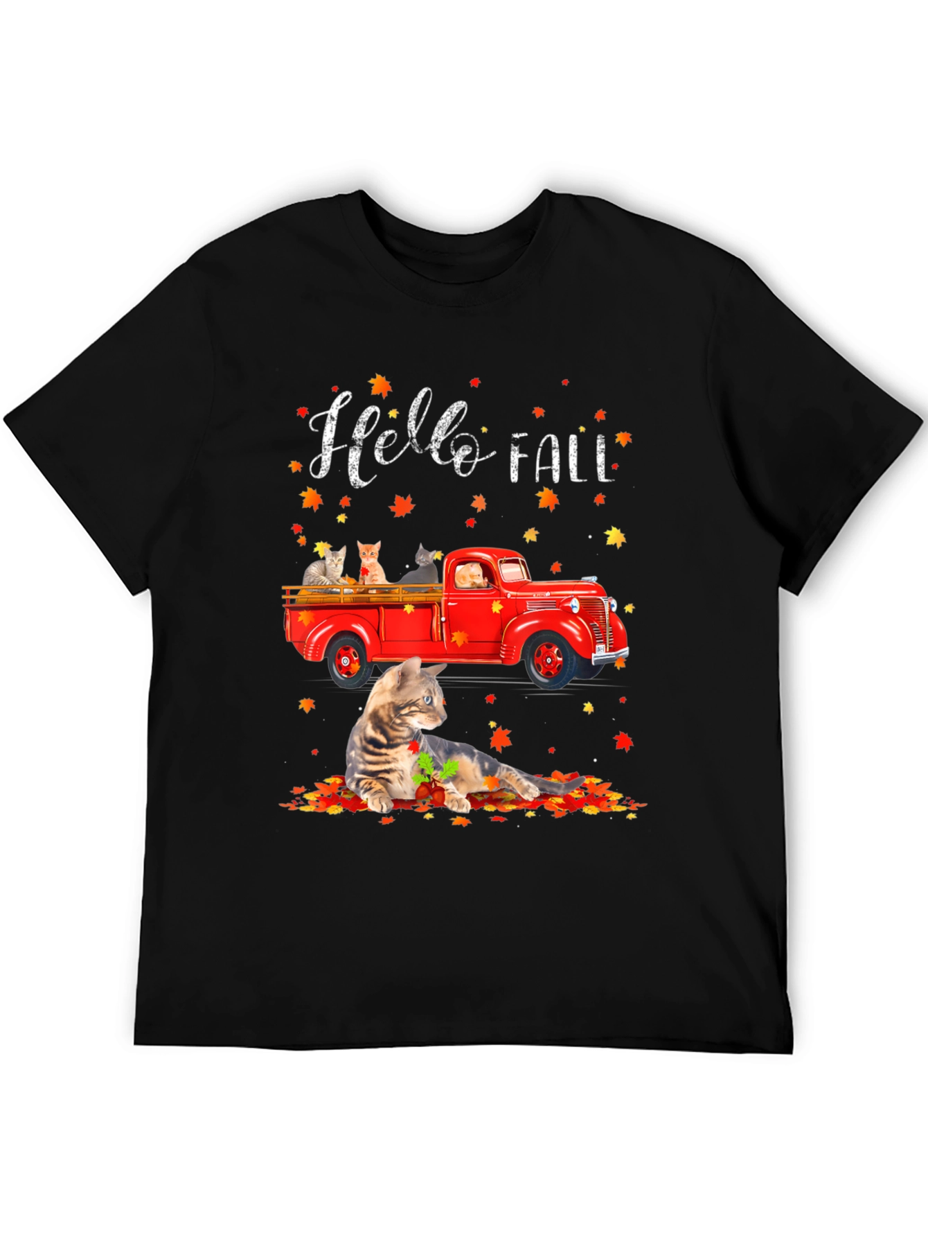 Hello Fall Cat Truck T-Shirt