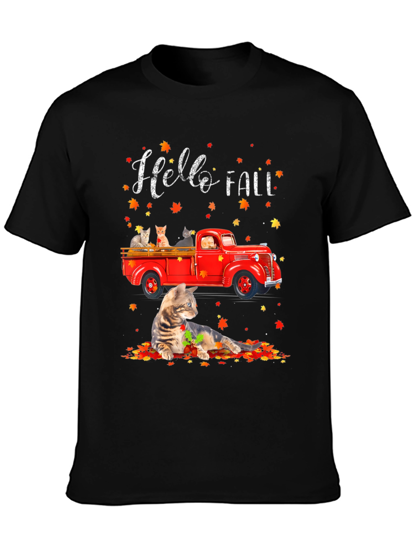 Hello Fall Cat Truck T-Shirt