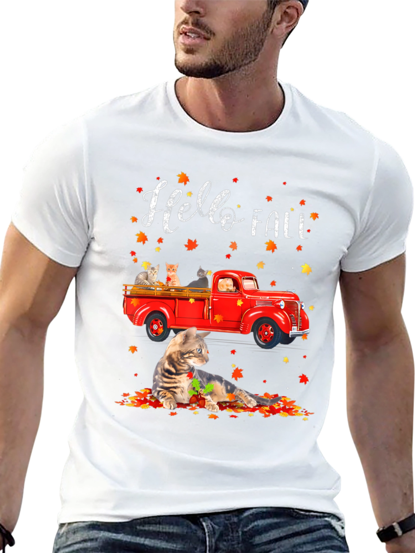 Hello Fall Cat Truck T-Shirt