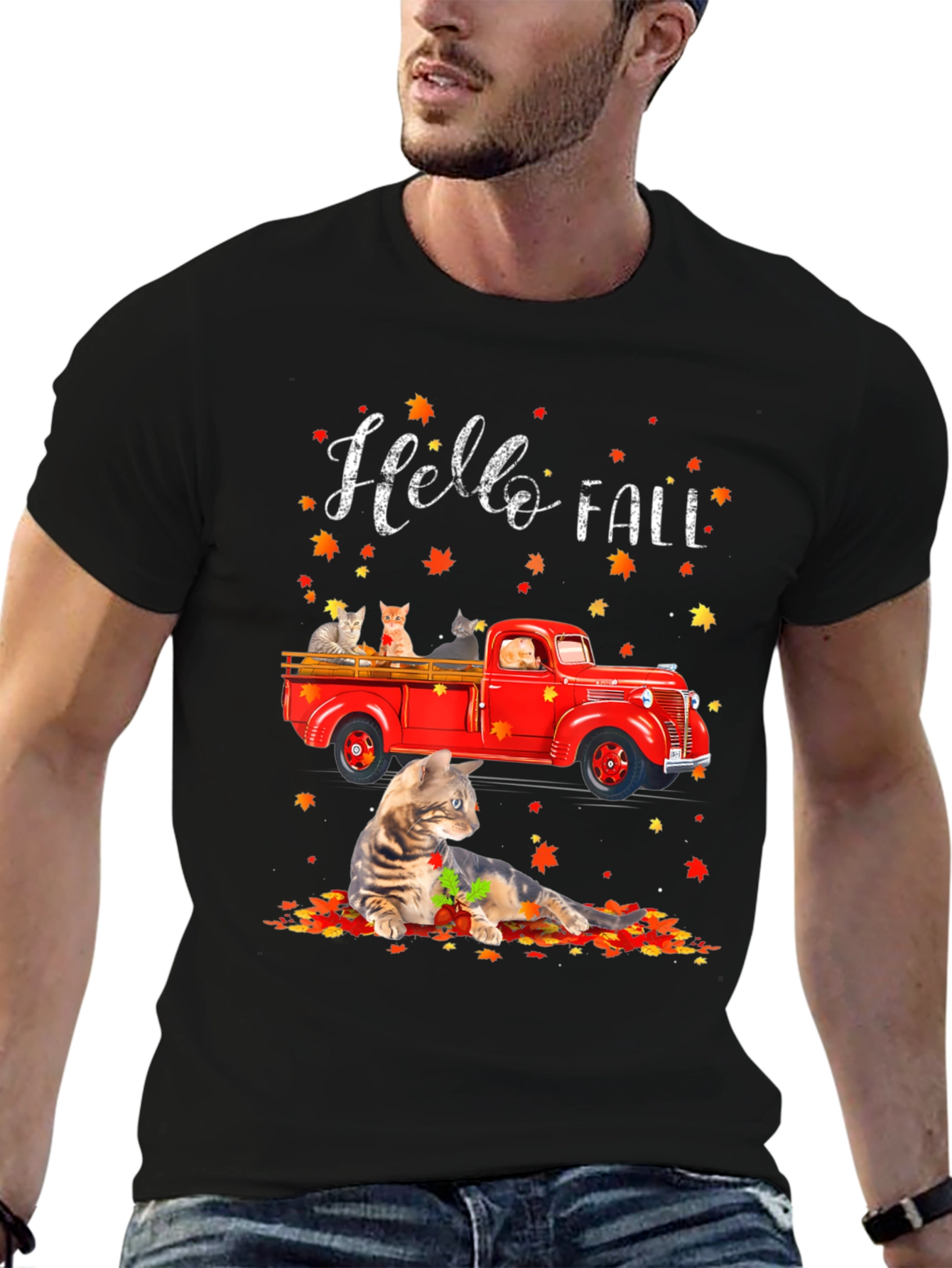 Hello Fall Cat Truck T-Shirt