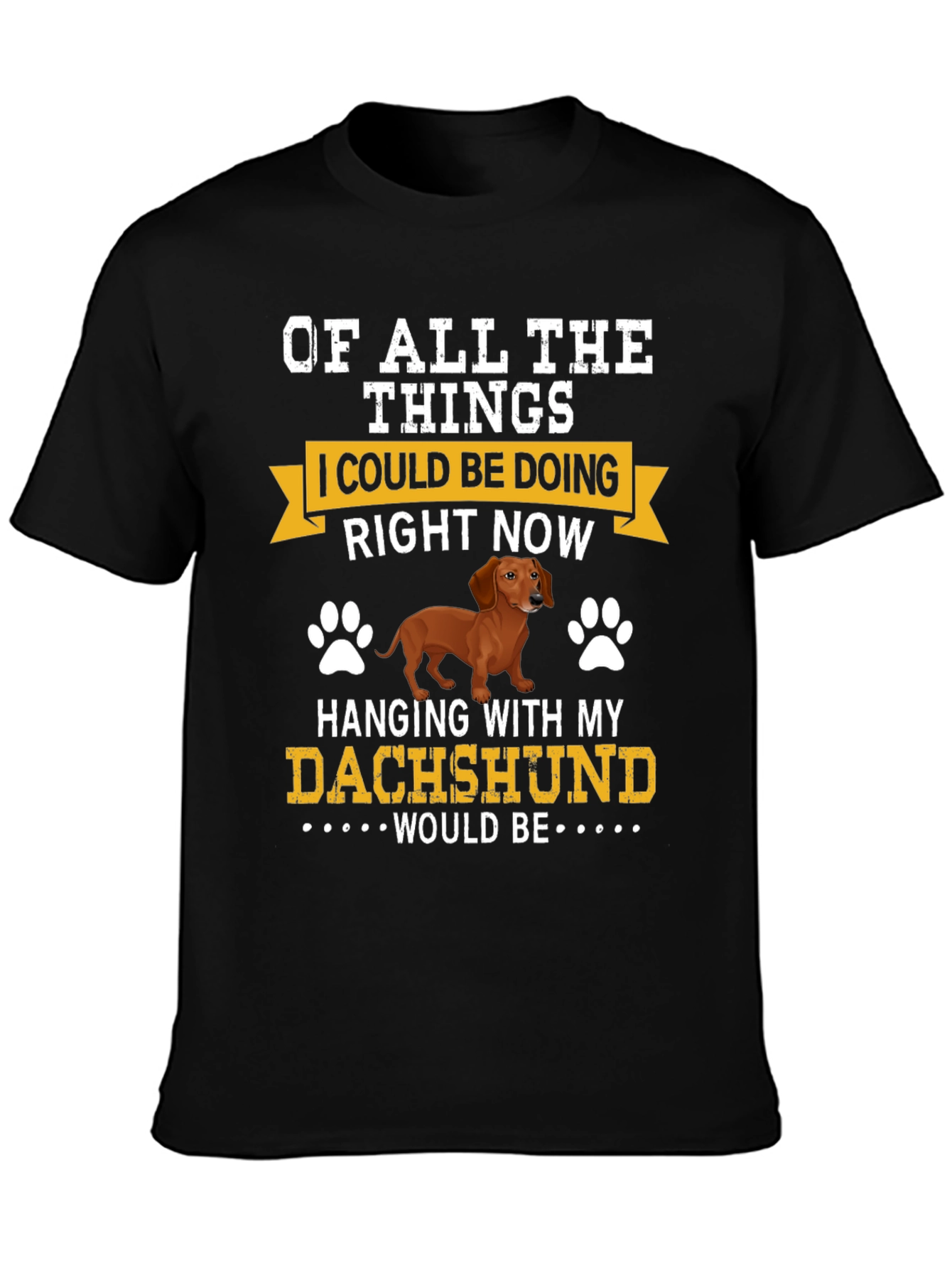 Dachshund Lover T-Shirt - Hanging with My Dog