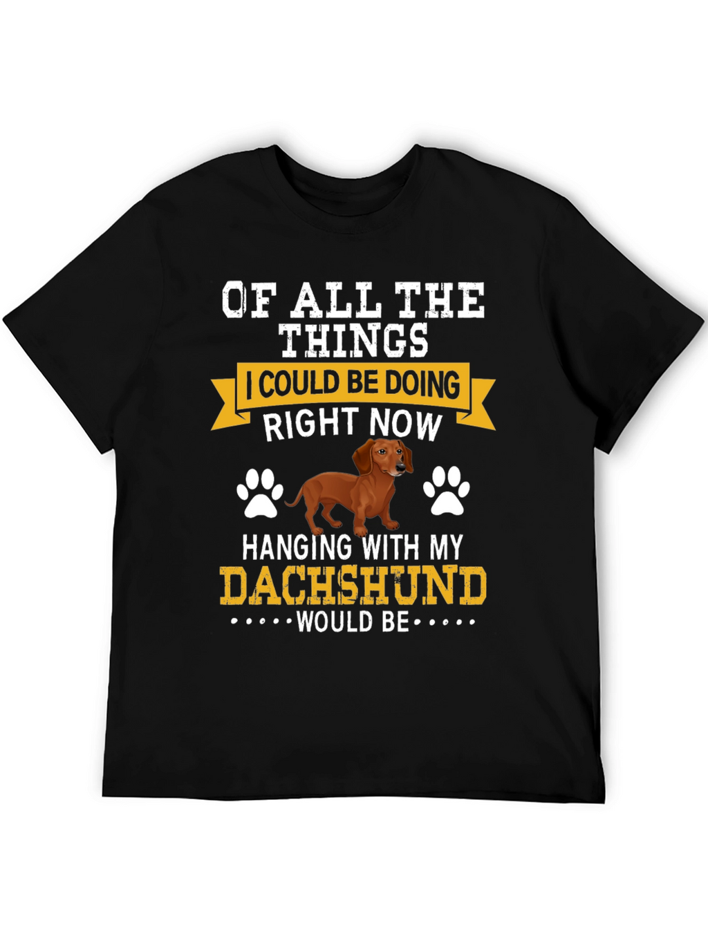 Dachshund Lover T-Shirt - Hanging with My Dog