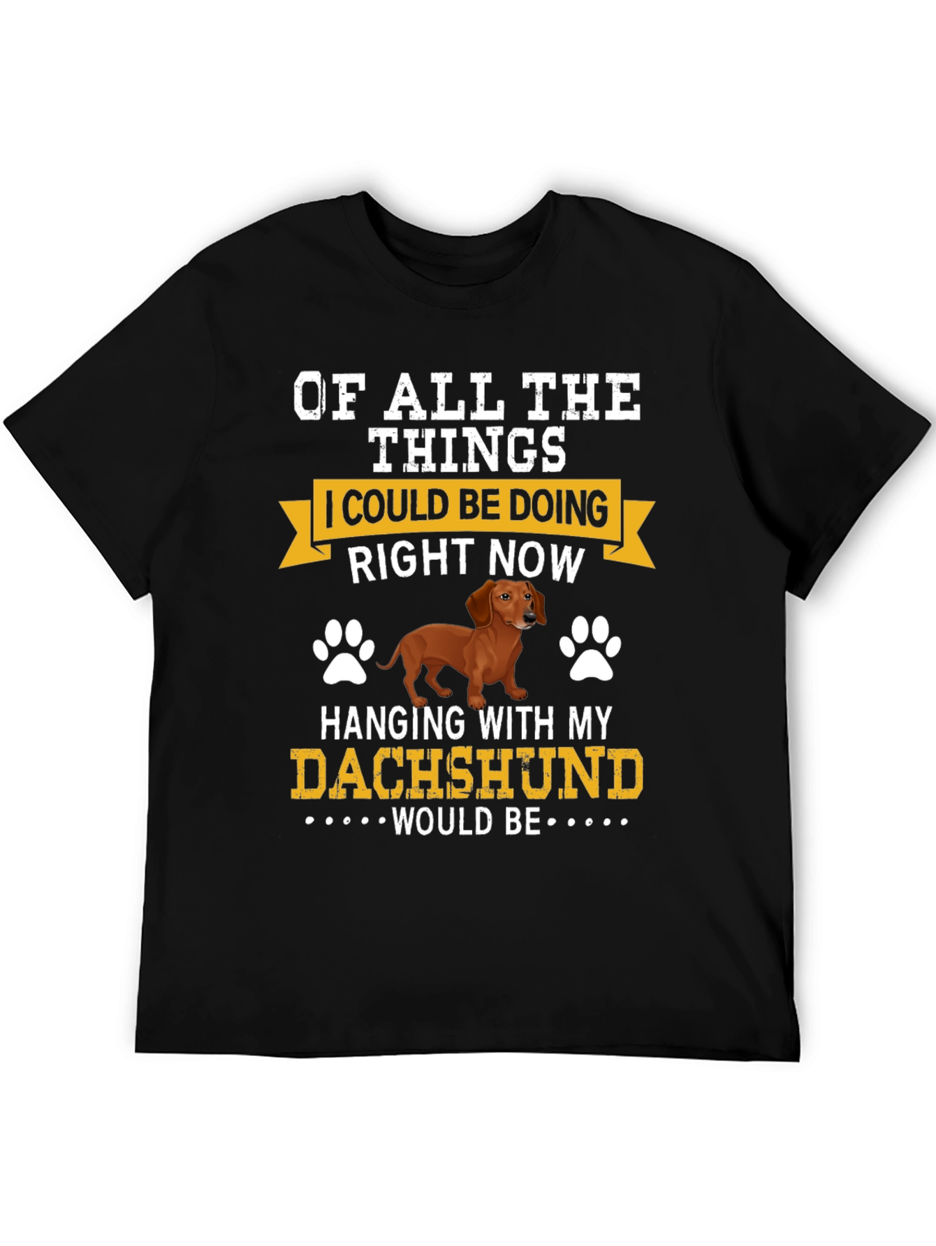 Dachshund Lover T-Shirt - Hanging with My Dog