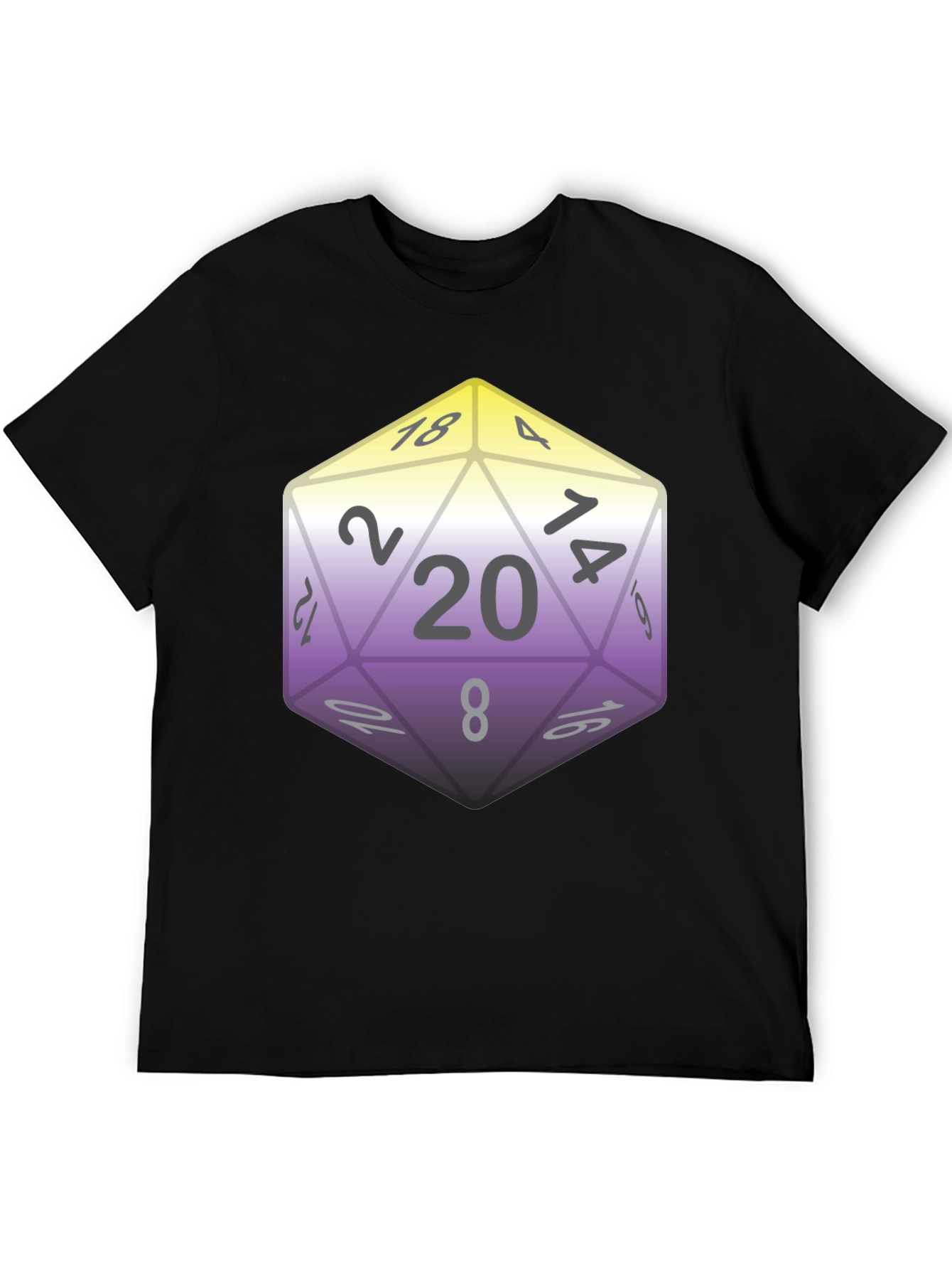 D&D D20 Dice Nonbinary Pride T-Shirt