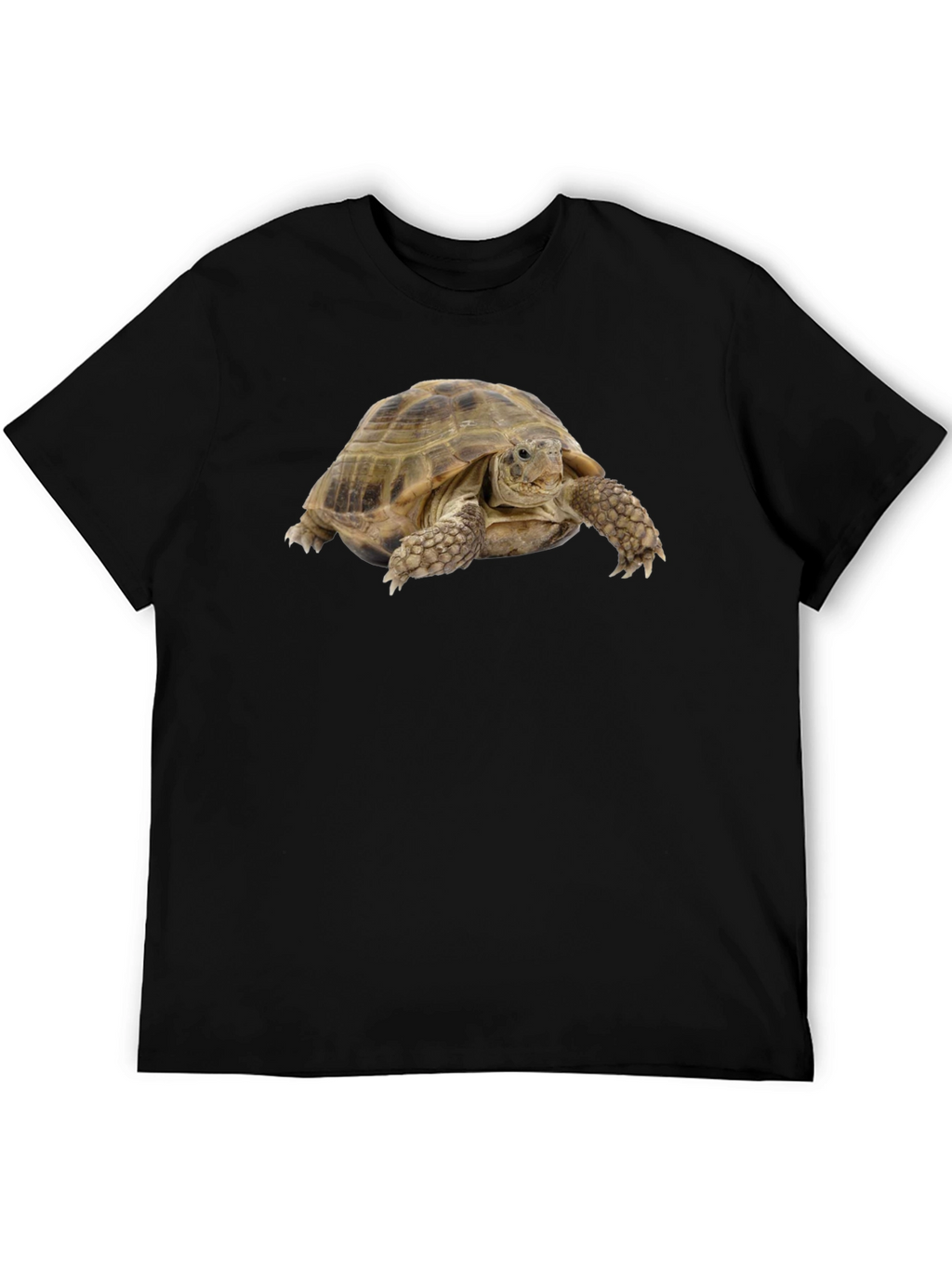 Tortoise Graphic T-Shirt - Black Cotton Tee