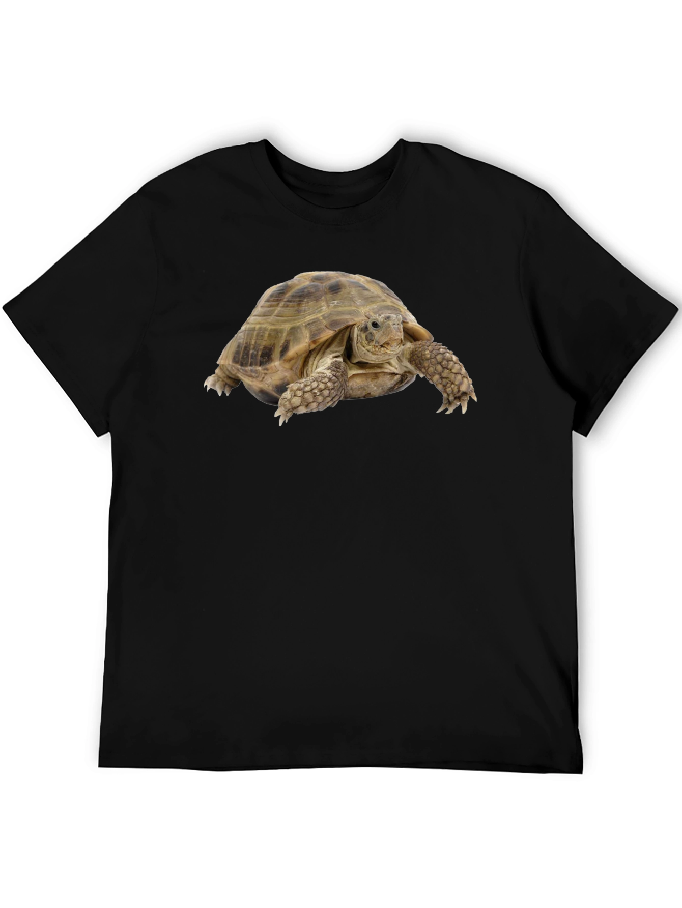 Tortoise Graphic T-Shirt - Black Cotton Tee