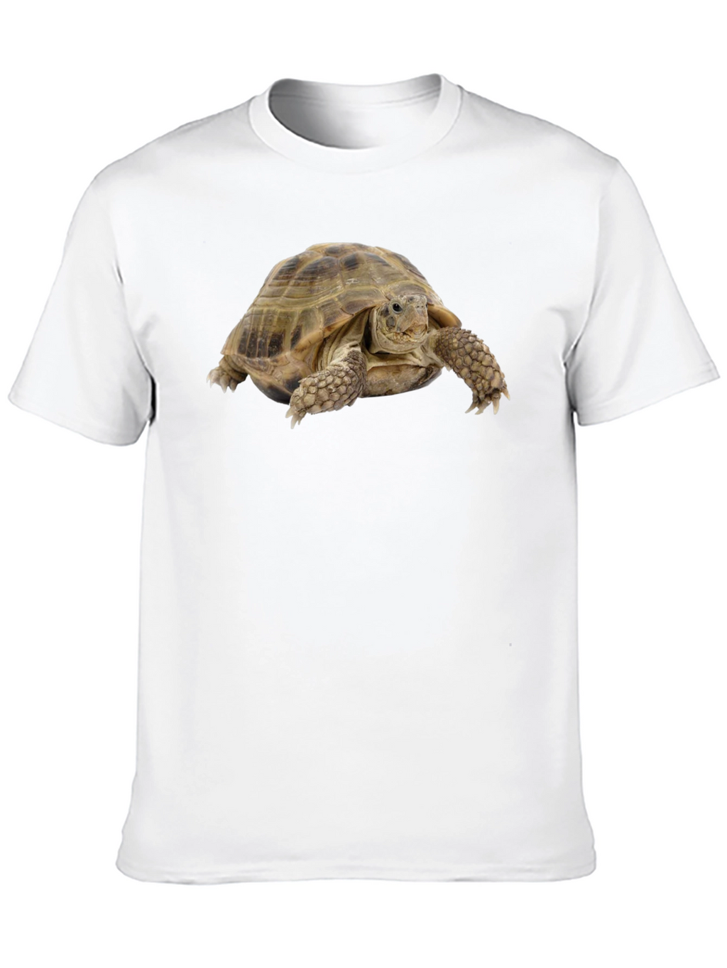 Tortoise Graphic T-Shirt - Black Cotton Tee