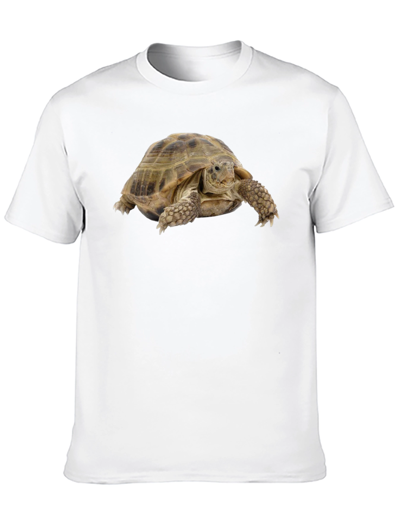 Tortoise Graphic T-Shirt - Black Cotton Tee