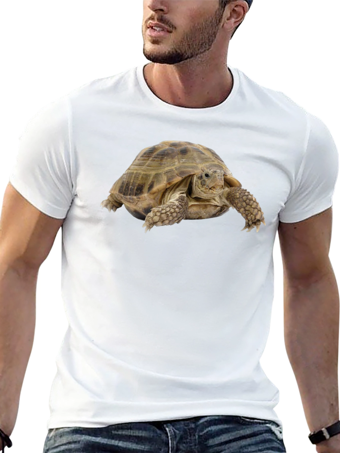 Tortoise Graphic T-Shirt - Black Cotton Tee