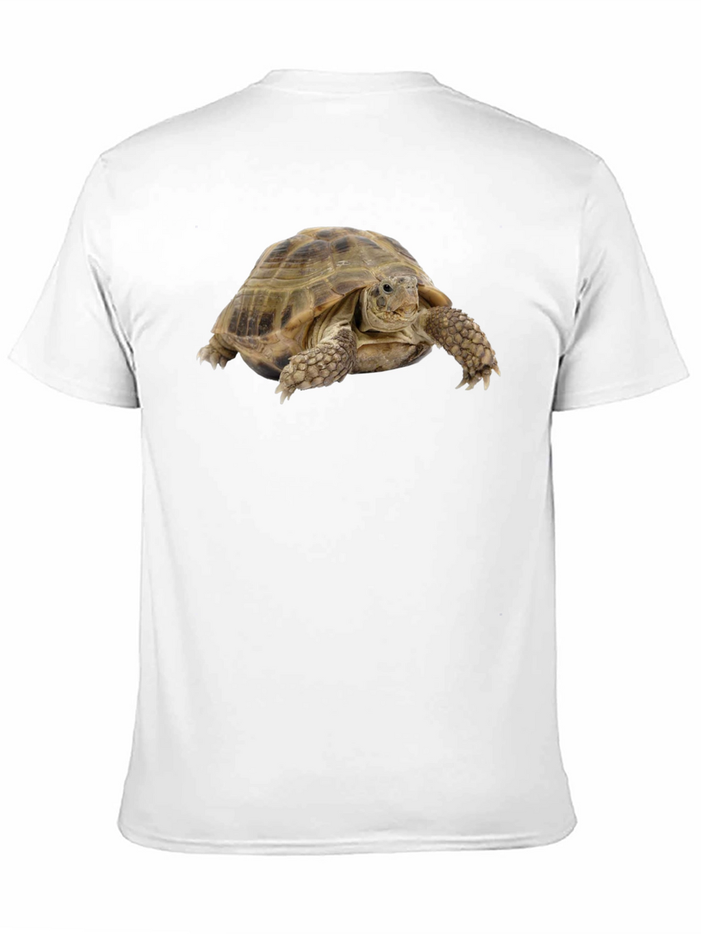 Tortoise Graphic T-Shirt - Black Cotton Tee