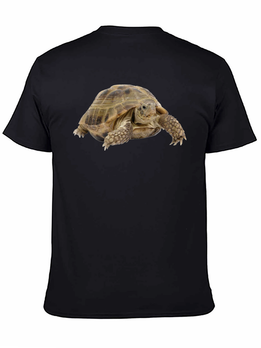 Tortoise Graphic T-Shirt - Black Cotton Tee