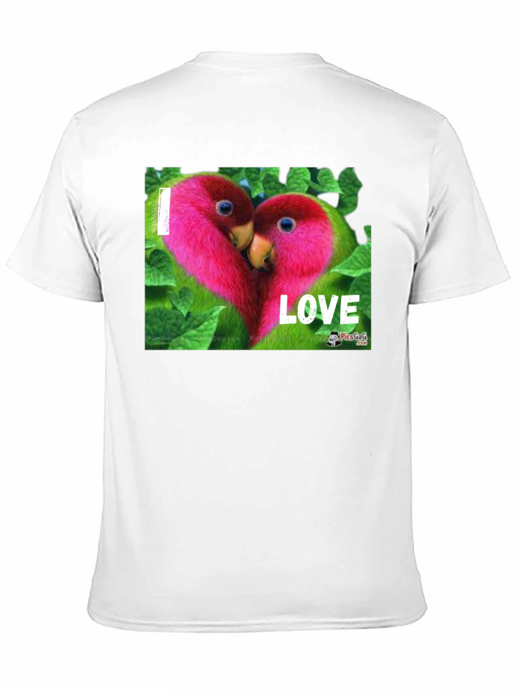 I Love Parrots Graphic T-Shirt