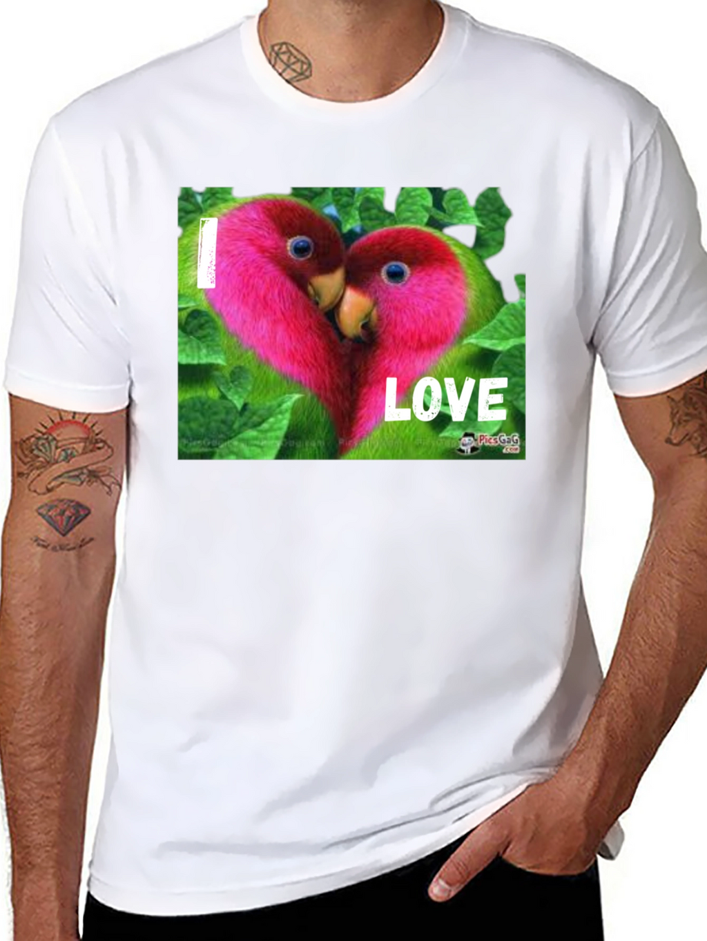 I Love Parrots Graphic T-Shirt