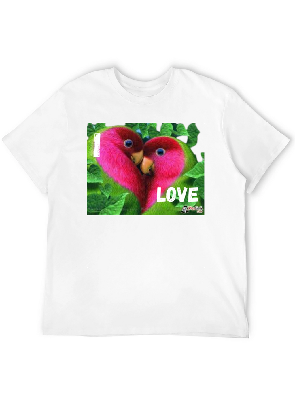 I Love Parrots Graphic T-Shirt