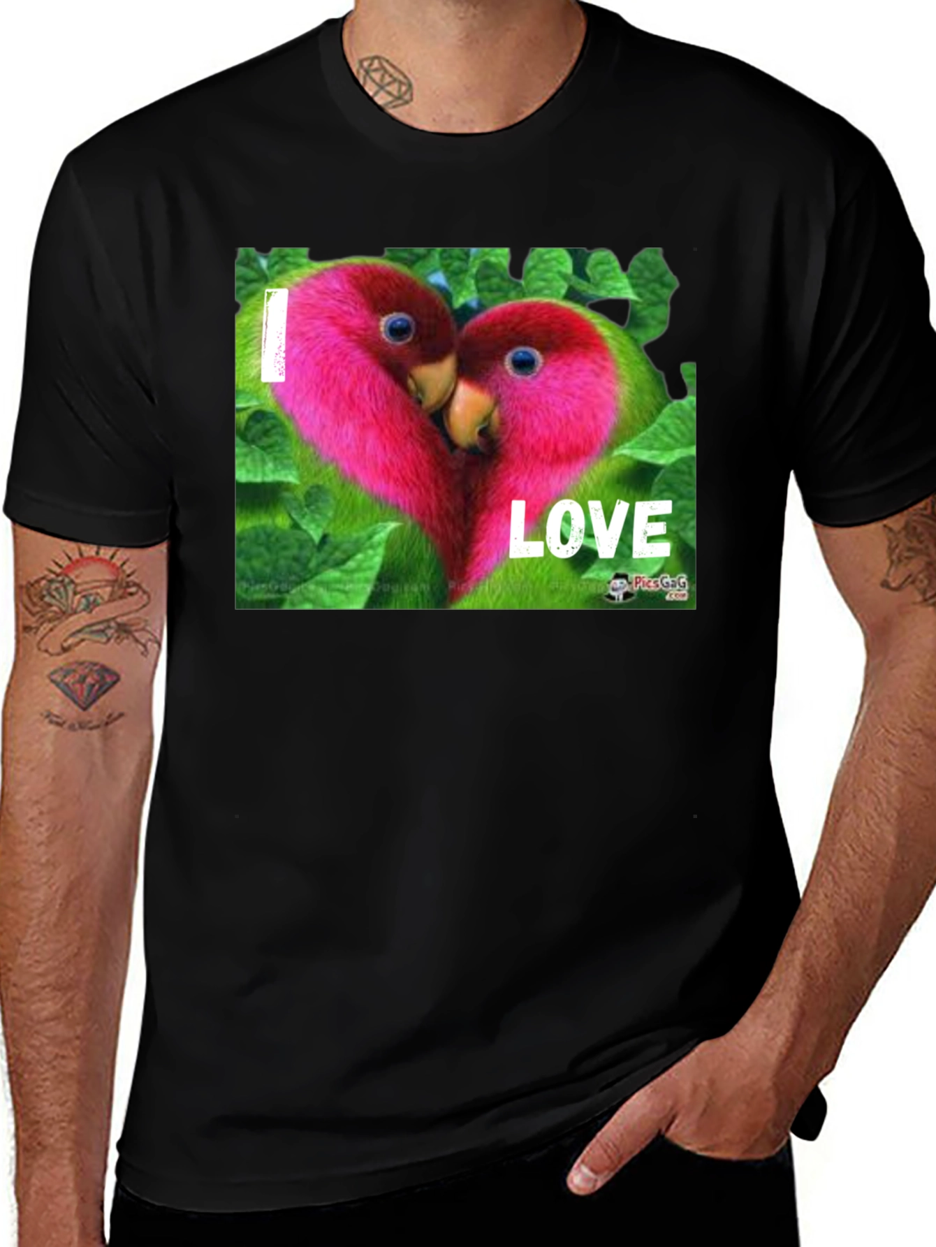 I Love Parrots Graphic T-Shirt