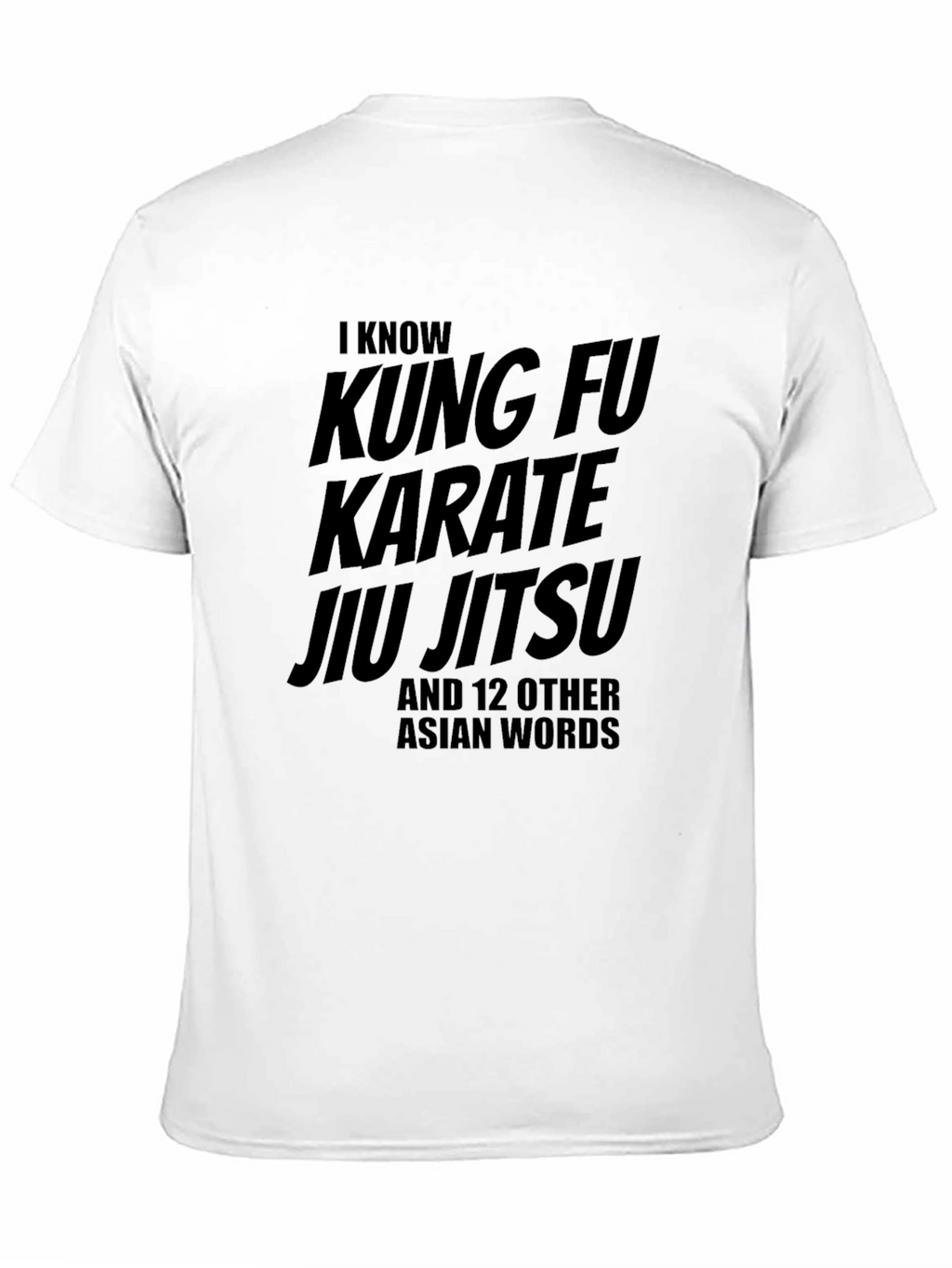 I Know Kung Fu Karate Jiu Jitsu Funny T-Shirt