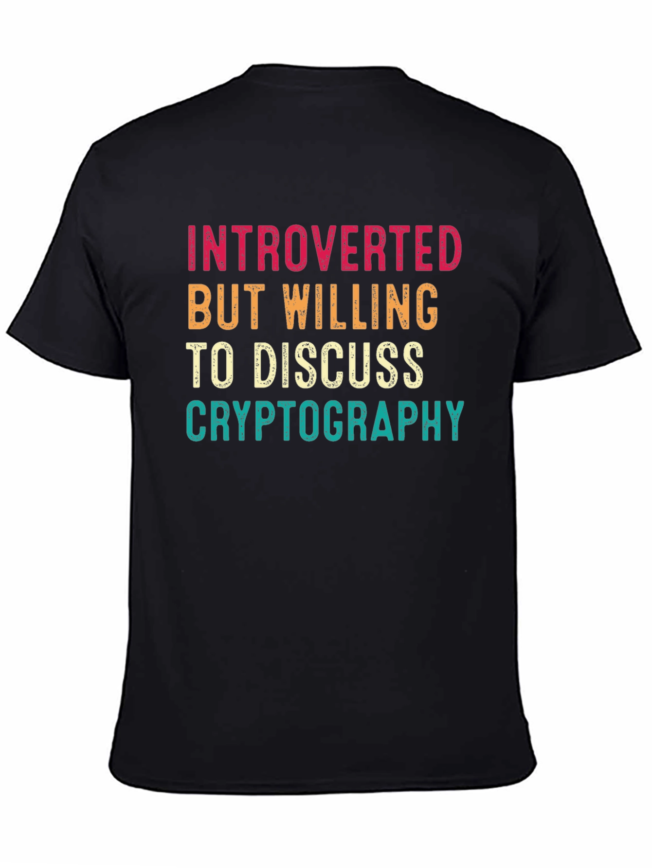 Introverted Cryptography Enthusiast T-Shirt