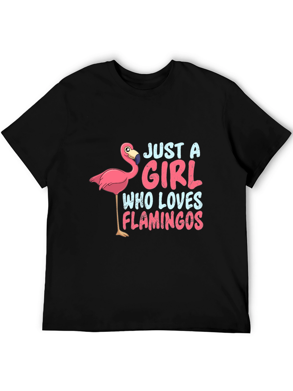 Just a Girl Who Loves Flamingos T-Shirt