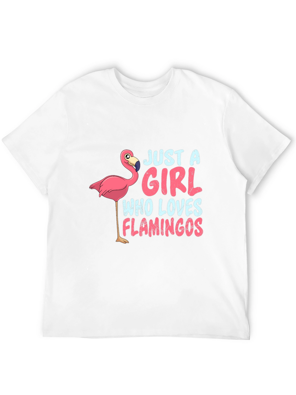 Just a Girl Who Loves Flamingos T-Shirt