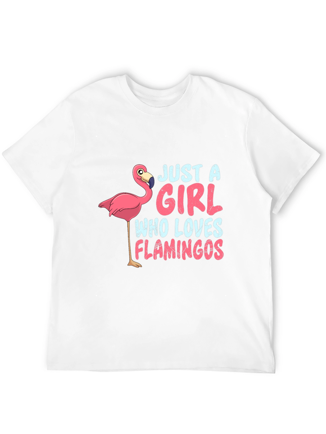 Just a Girl Who Loves Flamingos T-Shirt