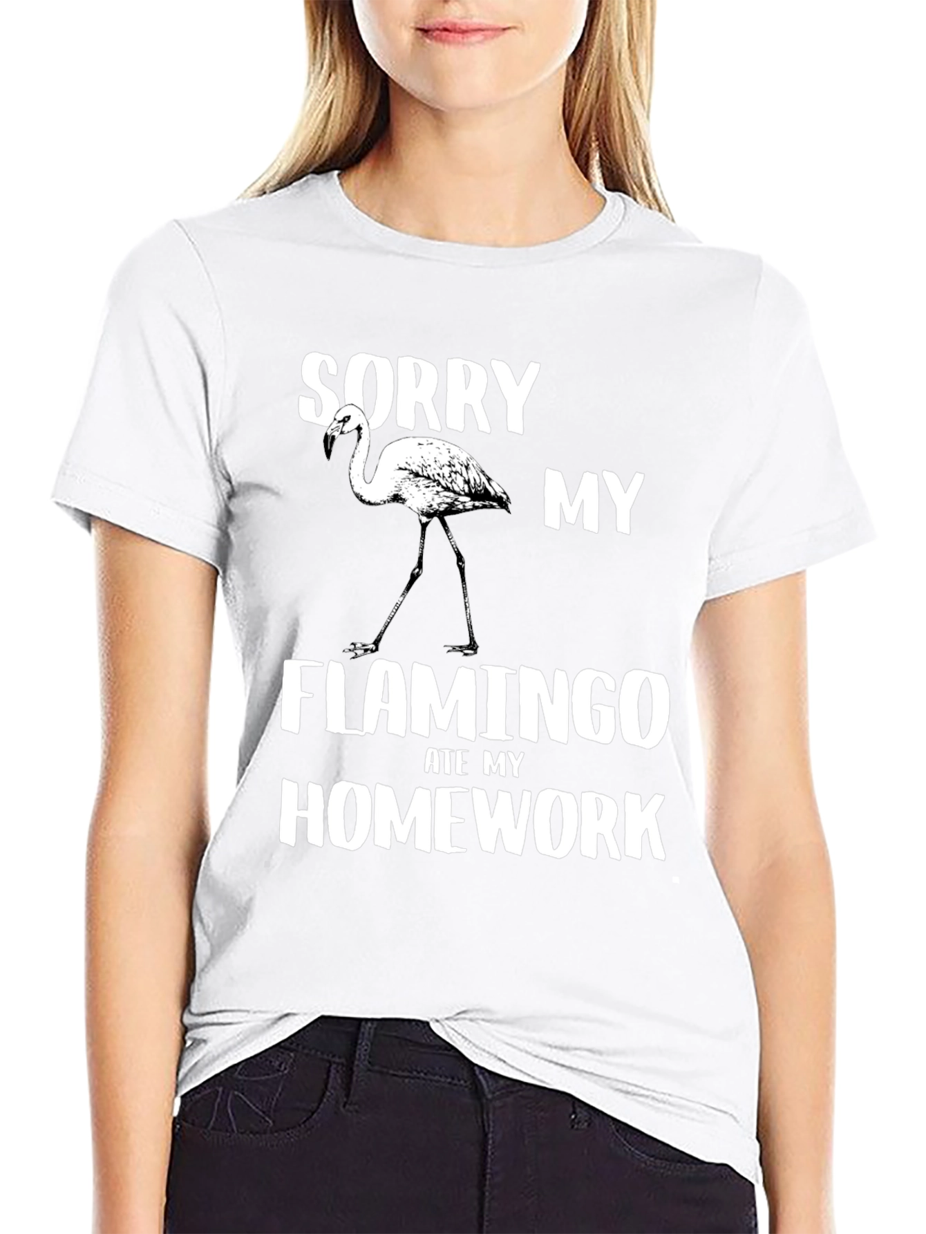 Funny Flamingo Homework T-Shirt