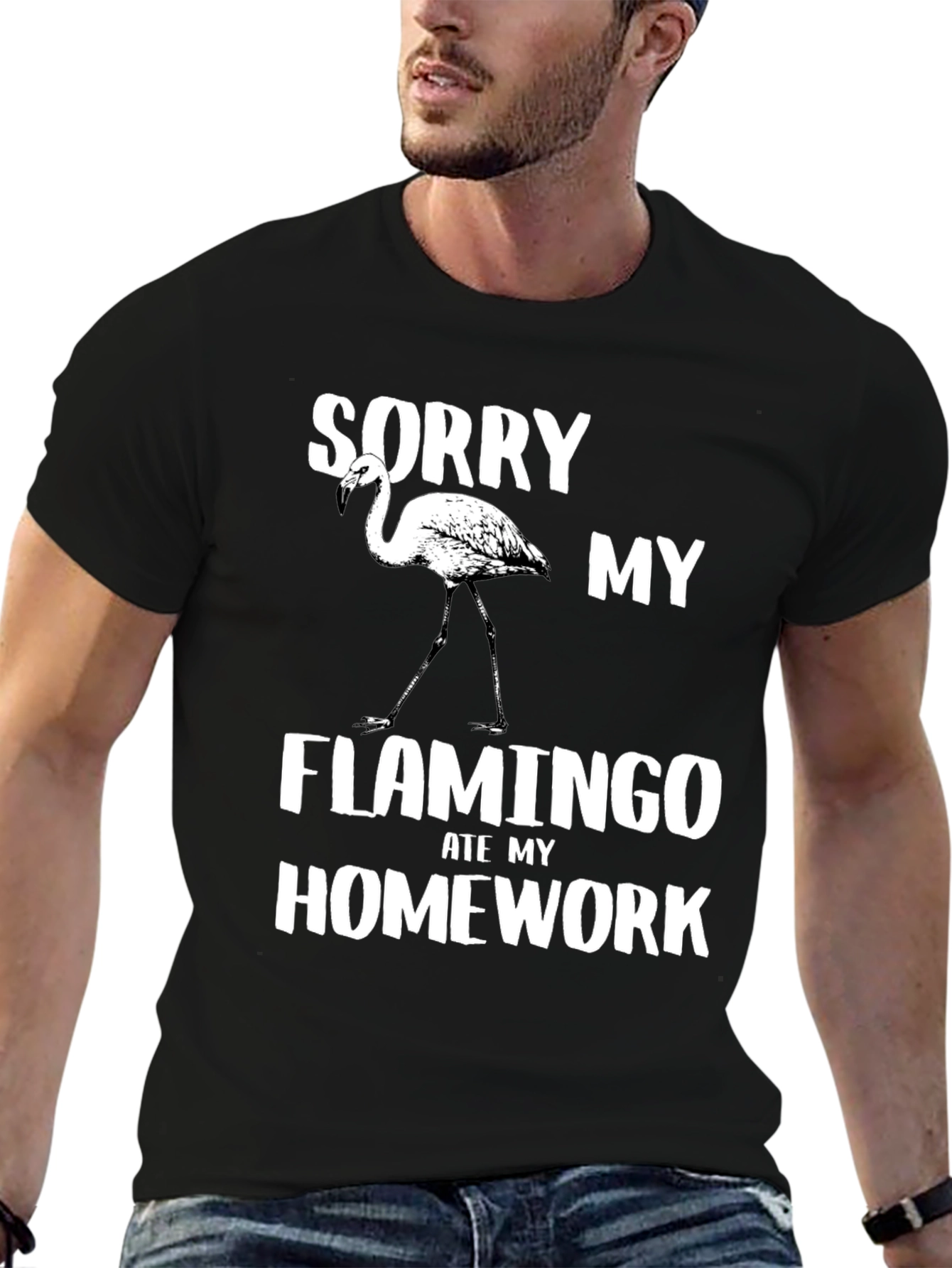 Funny Flamingo Homework T-Shirt
