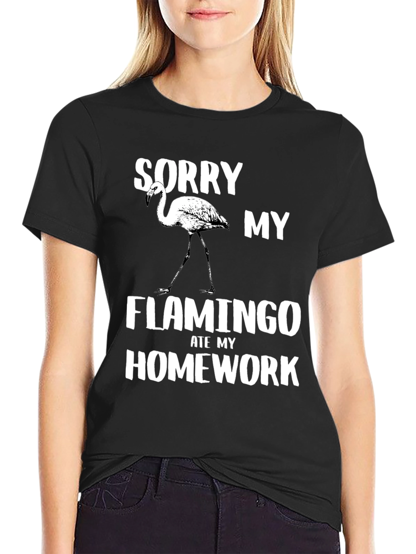 Funny Flamingo Homework T-Shirt