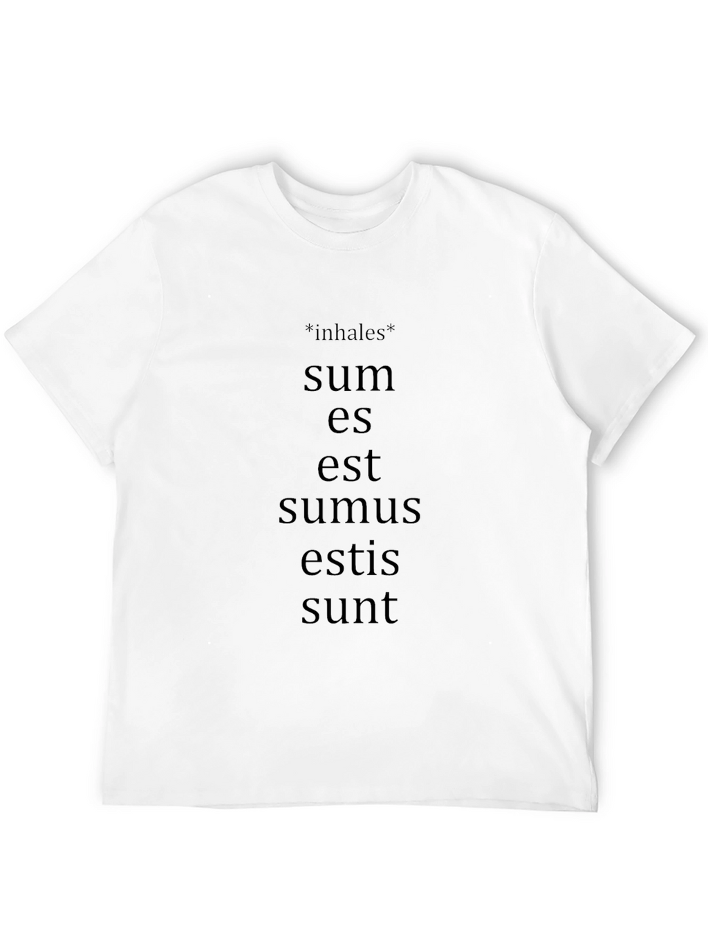 Latin Verb Conjugation T-Shirt - Grammar Humor Tee