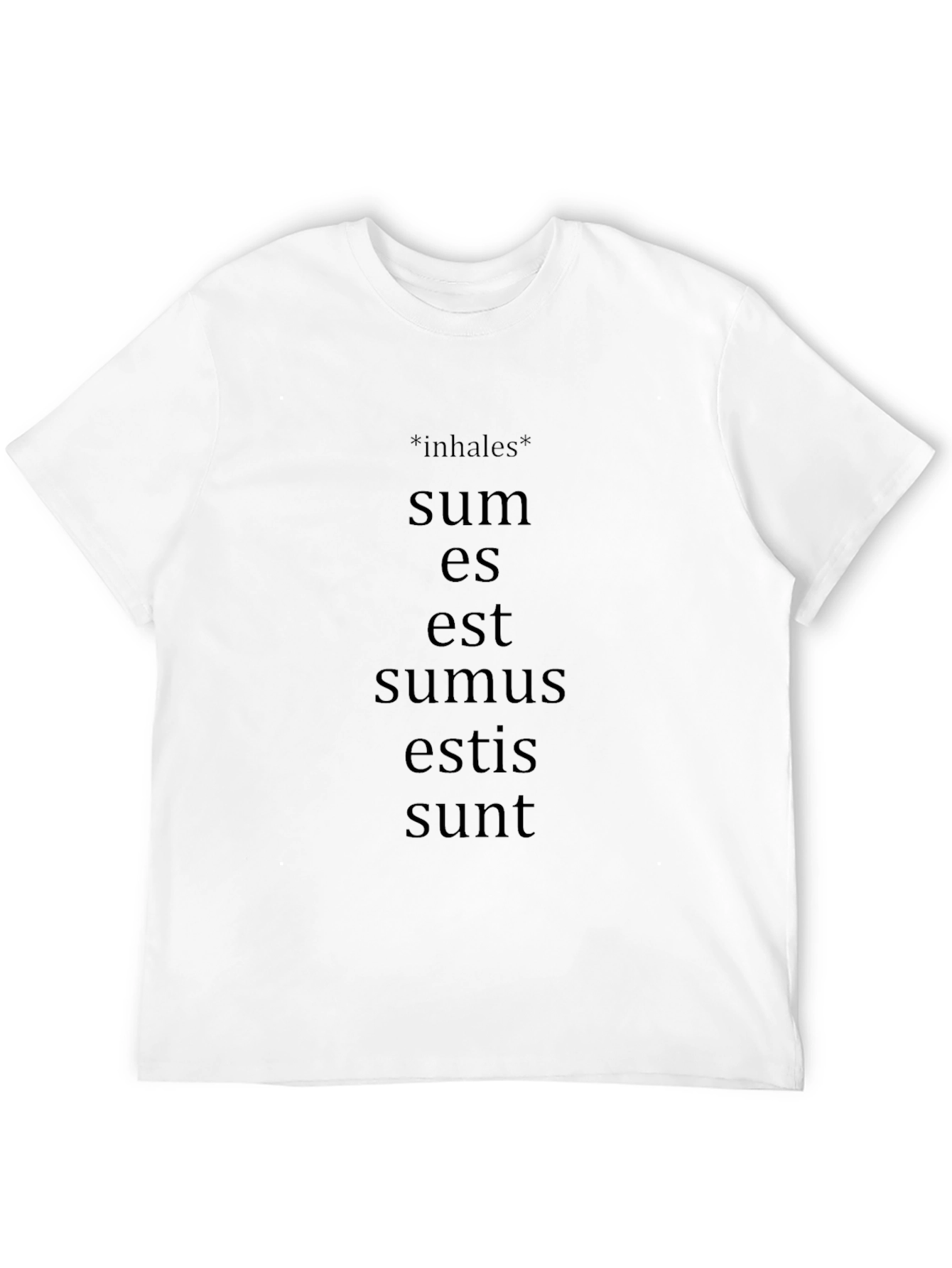 Latin Verb Conjugation T-Shirt - Grammar Humor Tee