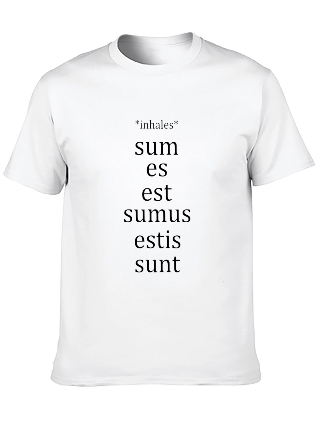Latin Verb Conjugation T-Shirt - Grammar Humor Tee