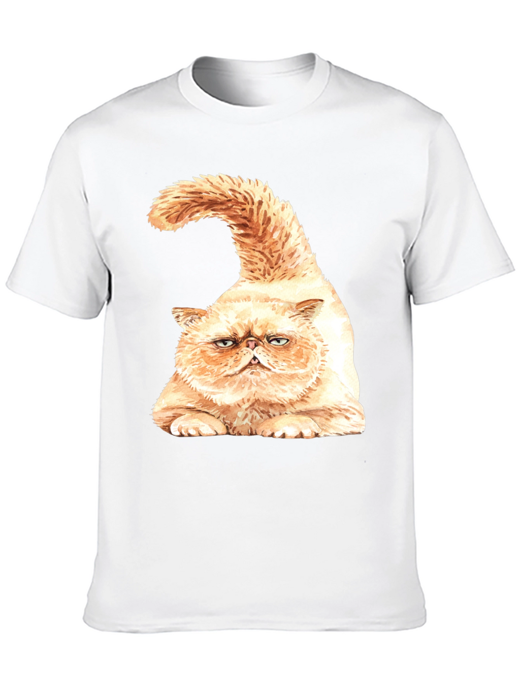 Grumpy Cat Graphic T-Shirt - Black