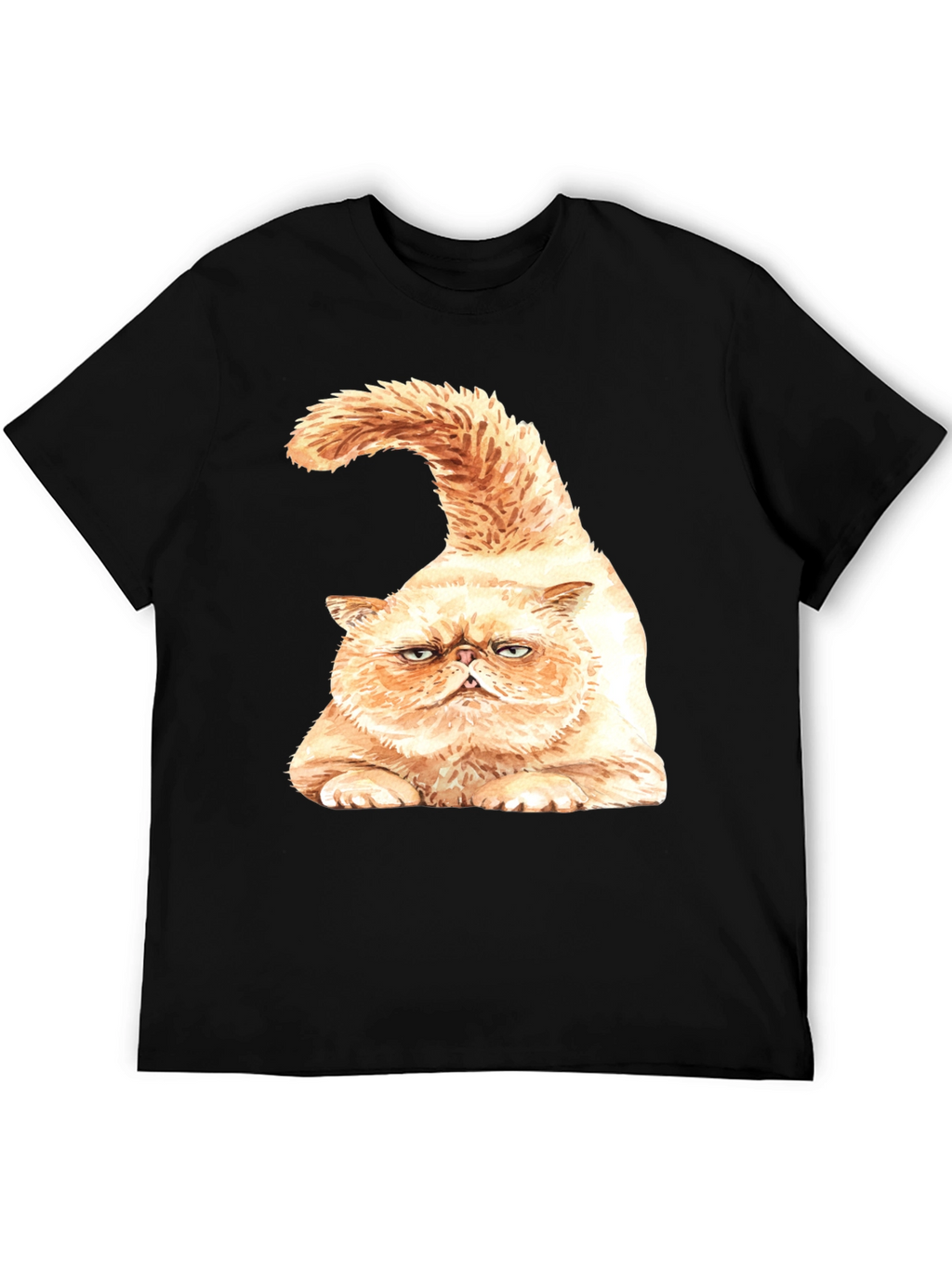 Grumpy Cat Graphic T-Shirt - Black