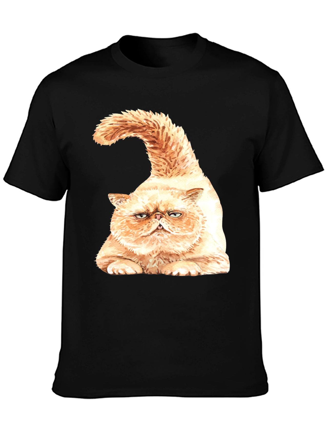Grumpy Cat Graphic T-Shirt - Black