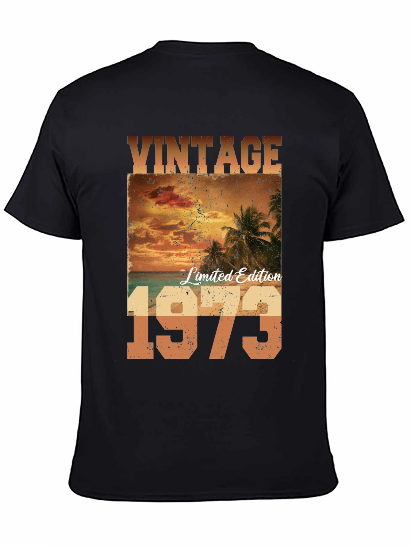 Vintage 1973 Limited Edition Graphic Tee