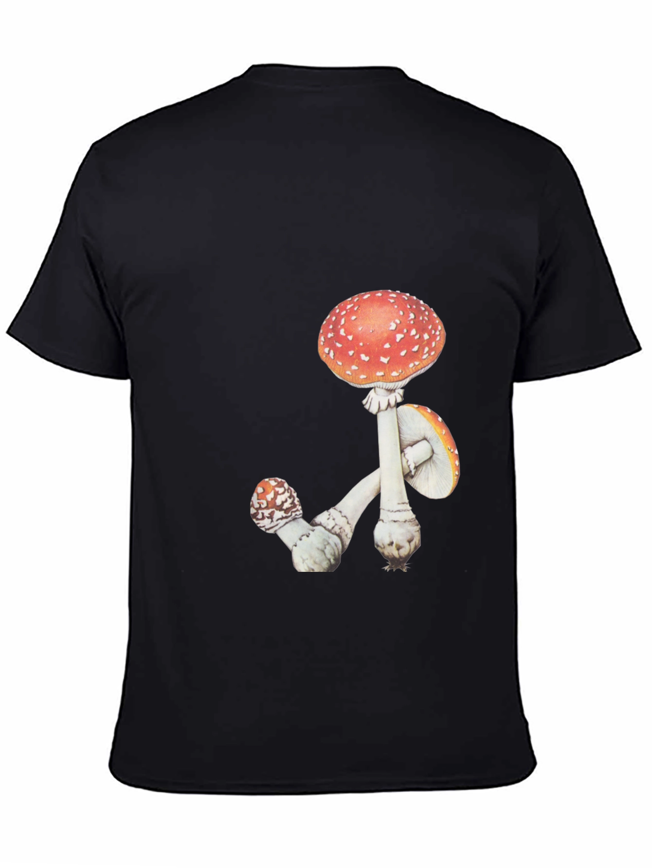 Mushroom Graphic Tee - Black Cotton T-Shirt