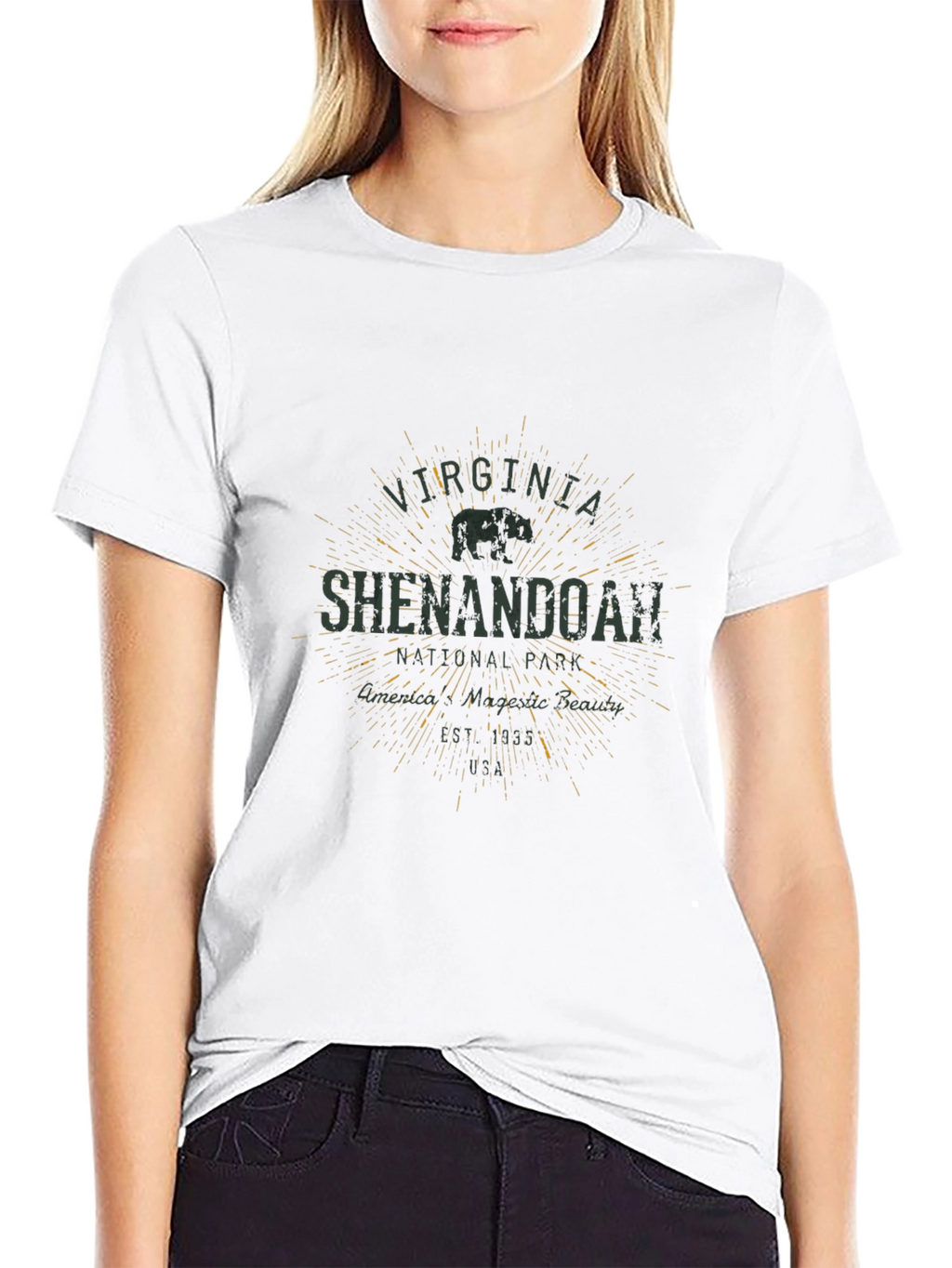 Shenandoah National Park Mens Black T-Shirt