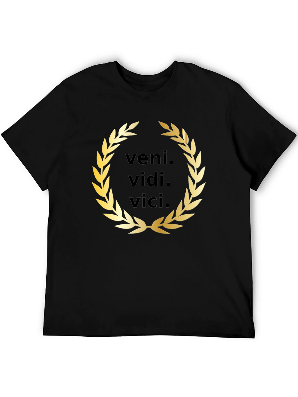 Veni Vidi Vici T-Shirt - Classic Latin Phrase