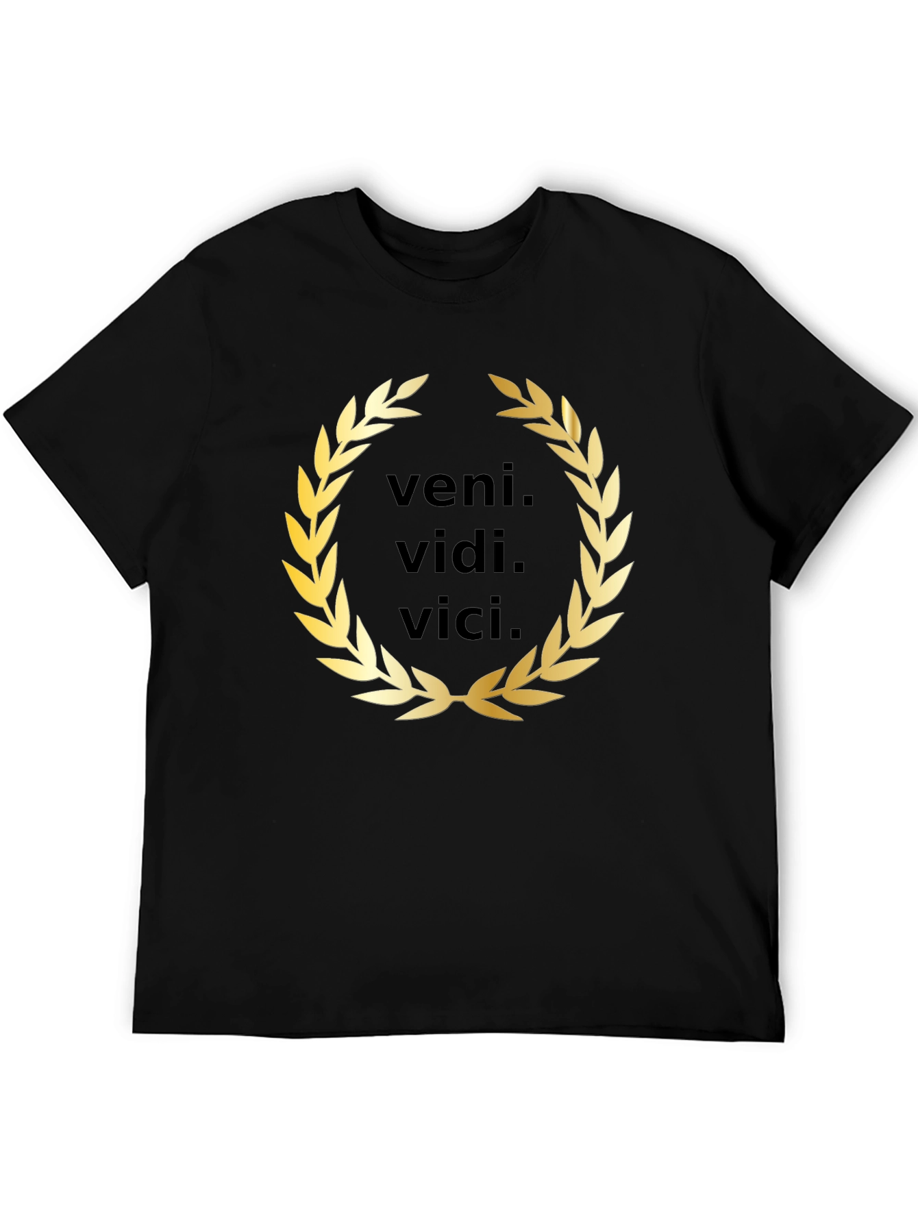 Veni Vidi Vici T-Shirt - Classic Latin Phrase