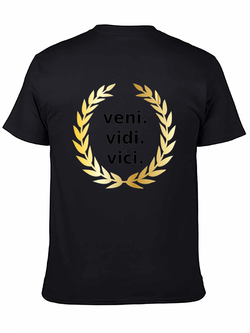 Veni Vidi Vici T-Shirt - Classic Latin Phrase