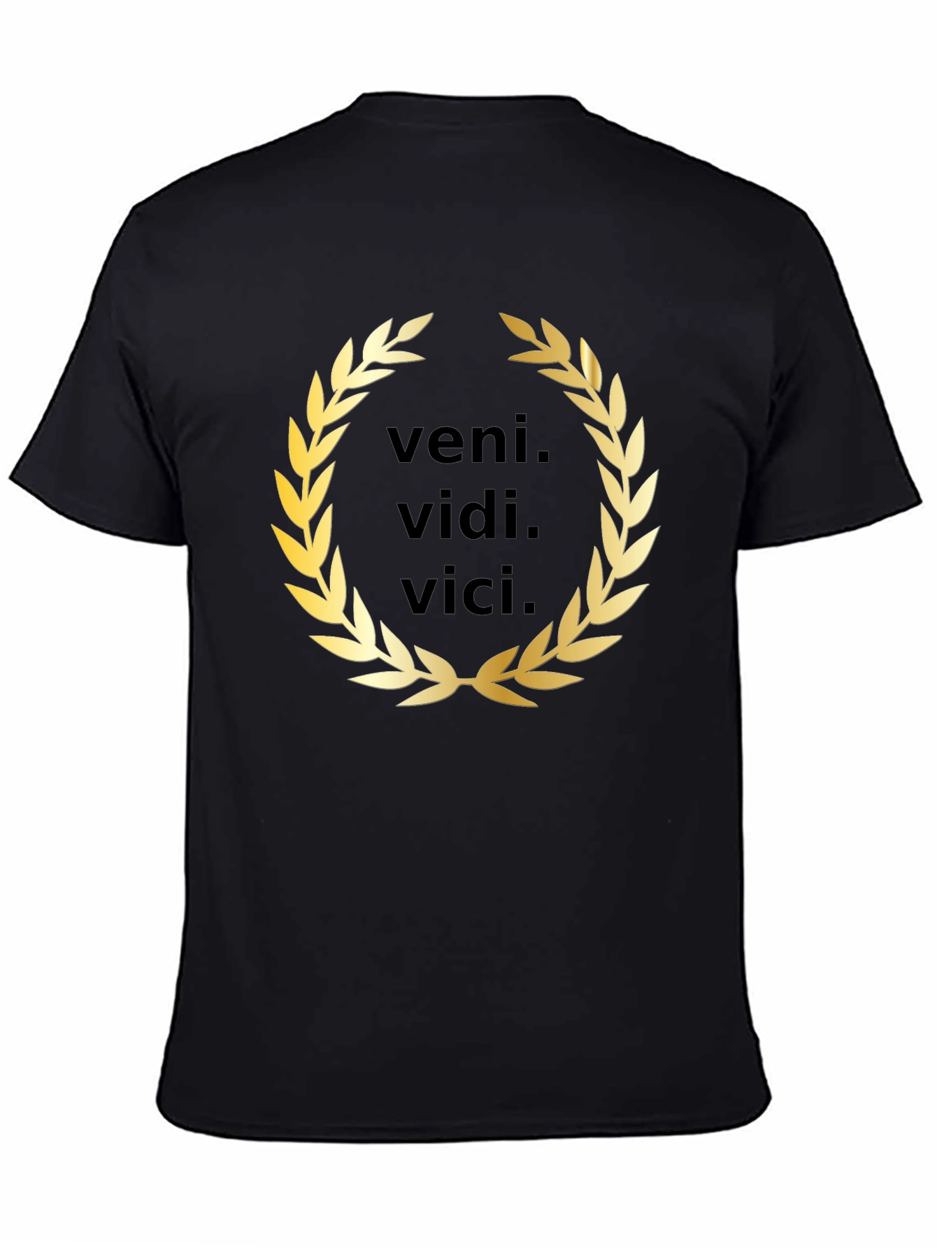 Veni Vidi Vici T-Shirt - Classic Latin Phrase
