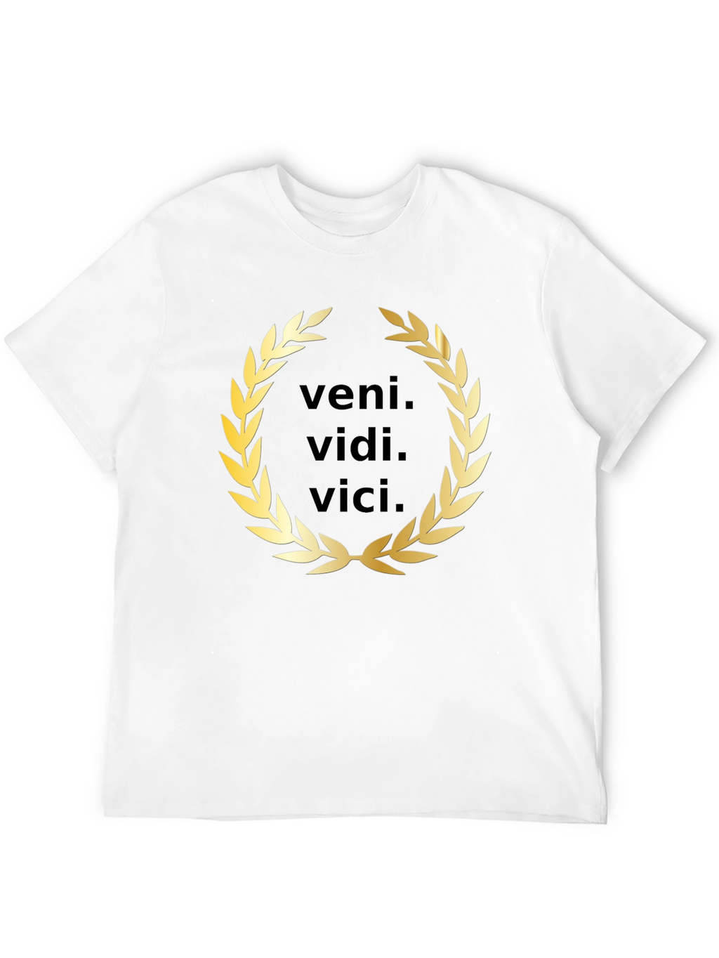 Veni Vidi Vici T-Shirt - Classic Latin Phrase