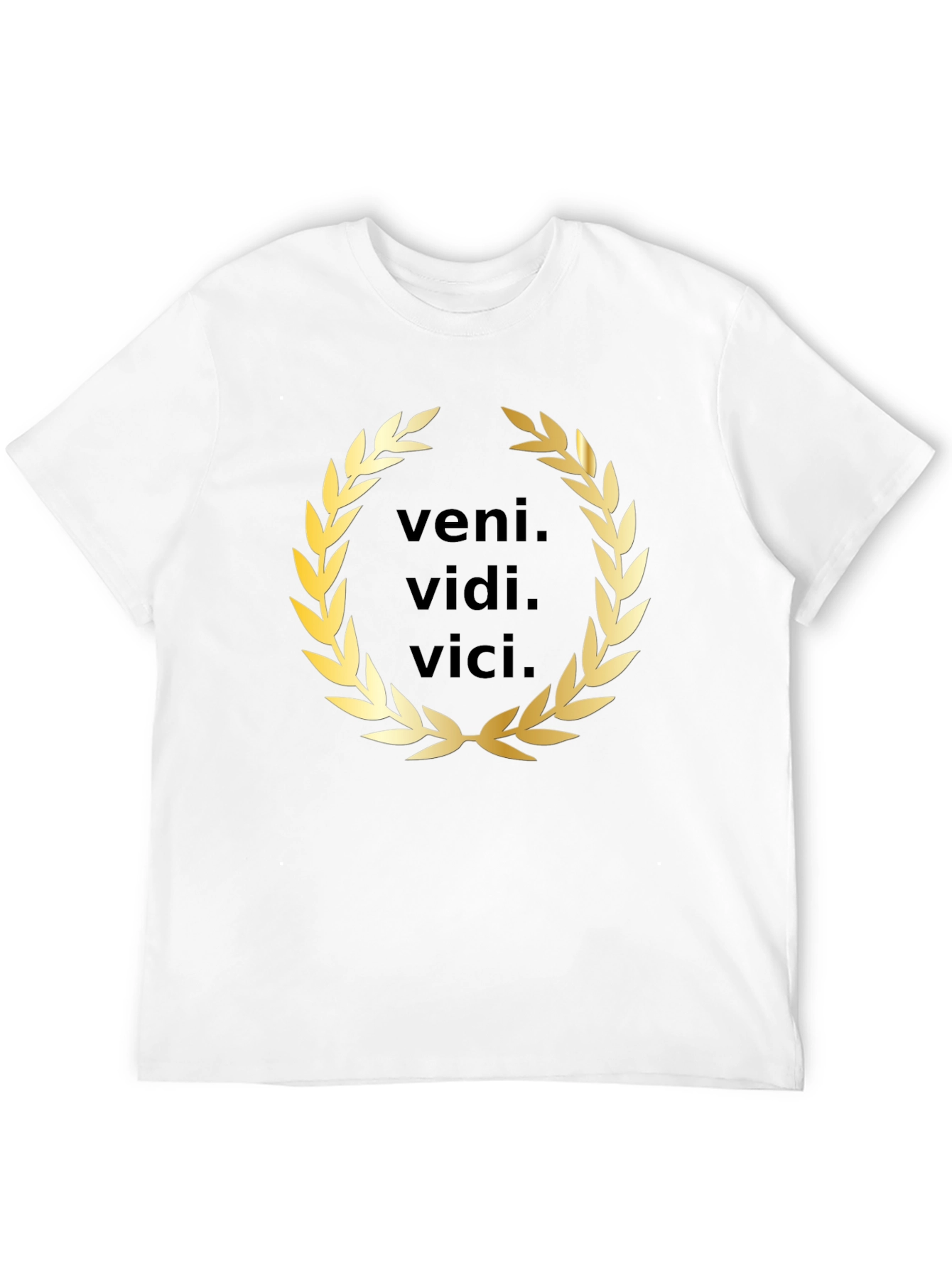 Veni Vidi Vici T-Shirt - Classic Latin Phrase