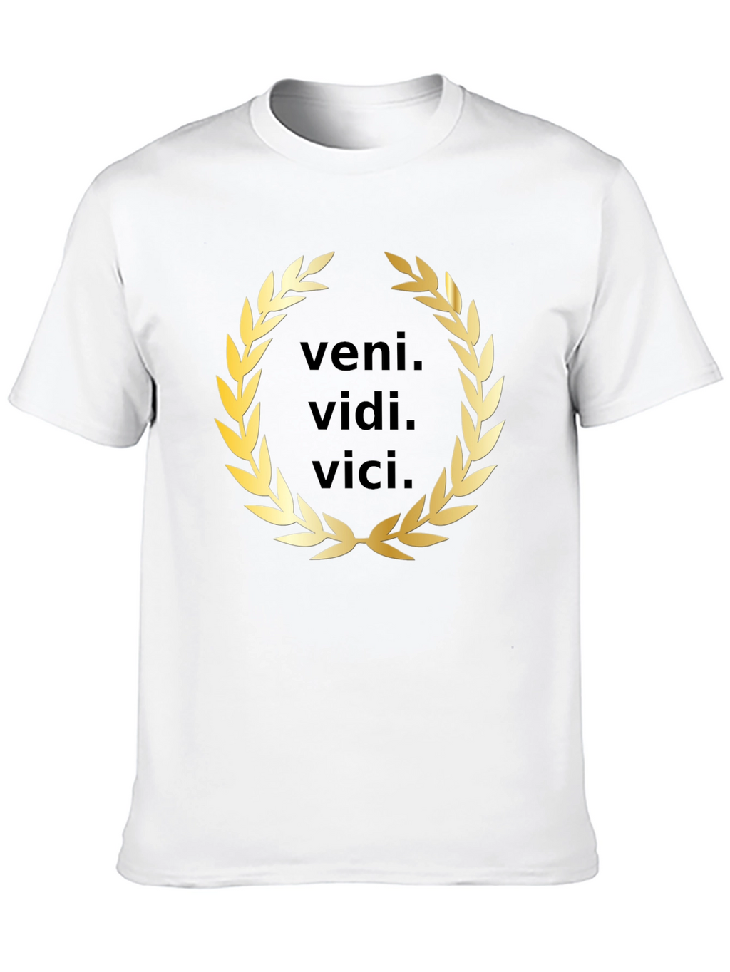 Veni Vidi Vici T-Shirt - Classic Latin Phrase