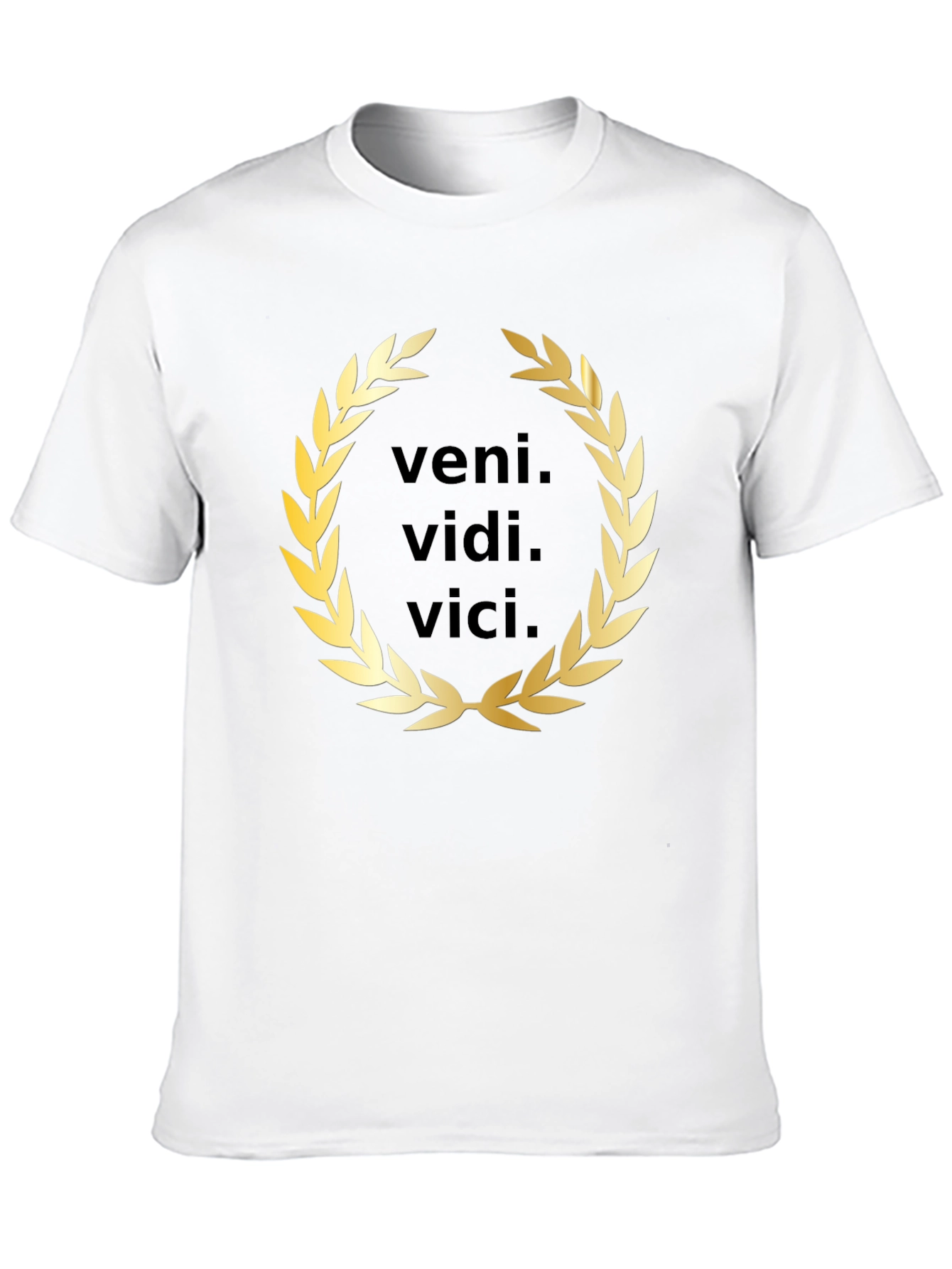 Veni Vidi Vici T-Shirt - Classic Latin Phrase