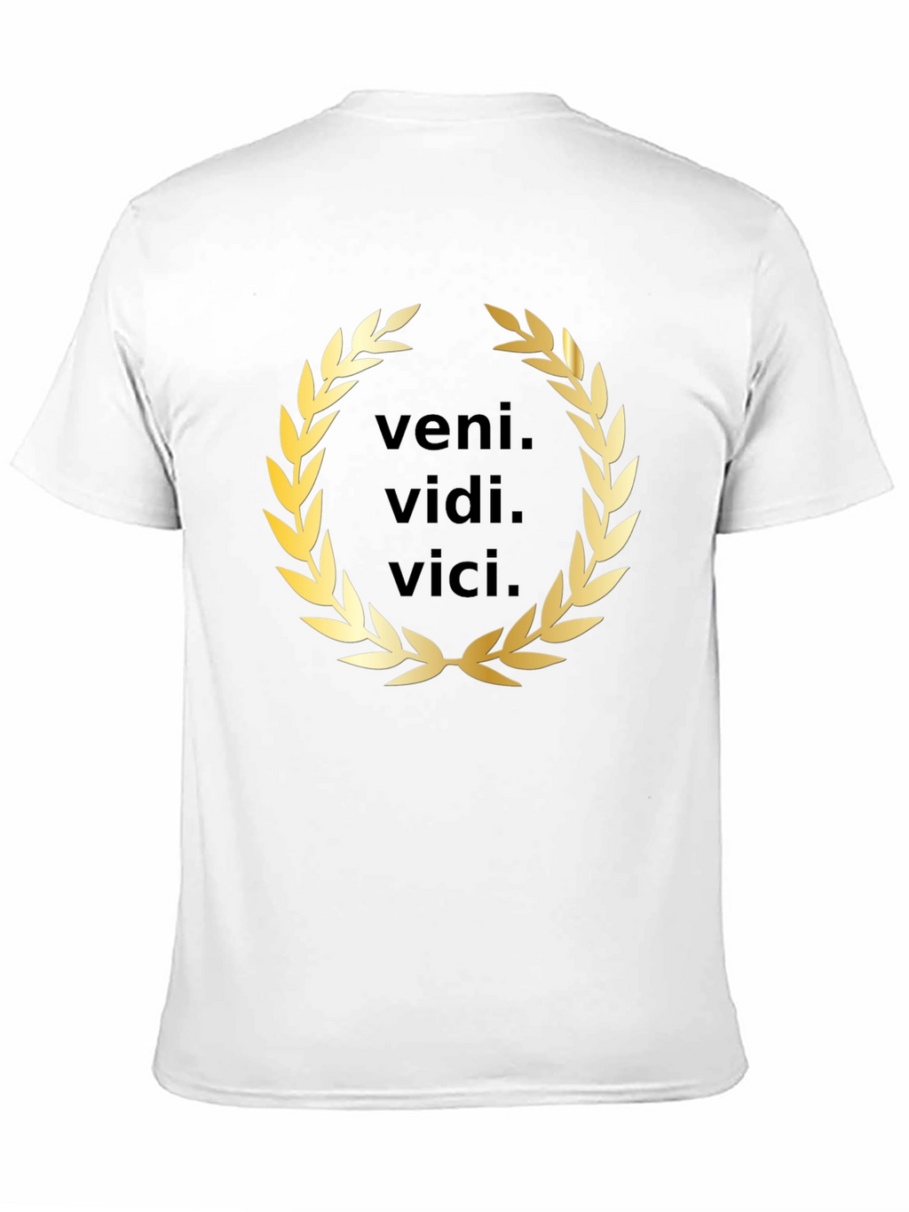 Veni Vidi Vici T-Shirt - Classic Latin Phrase