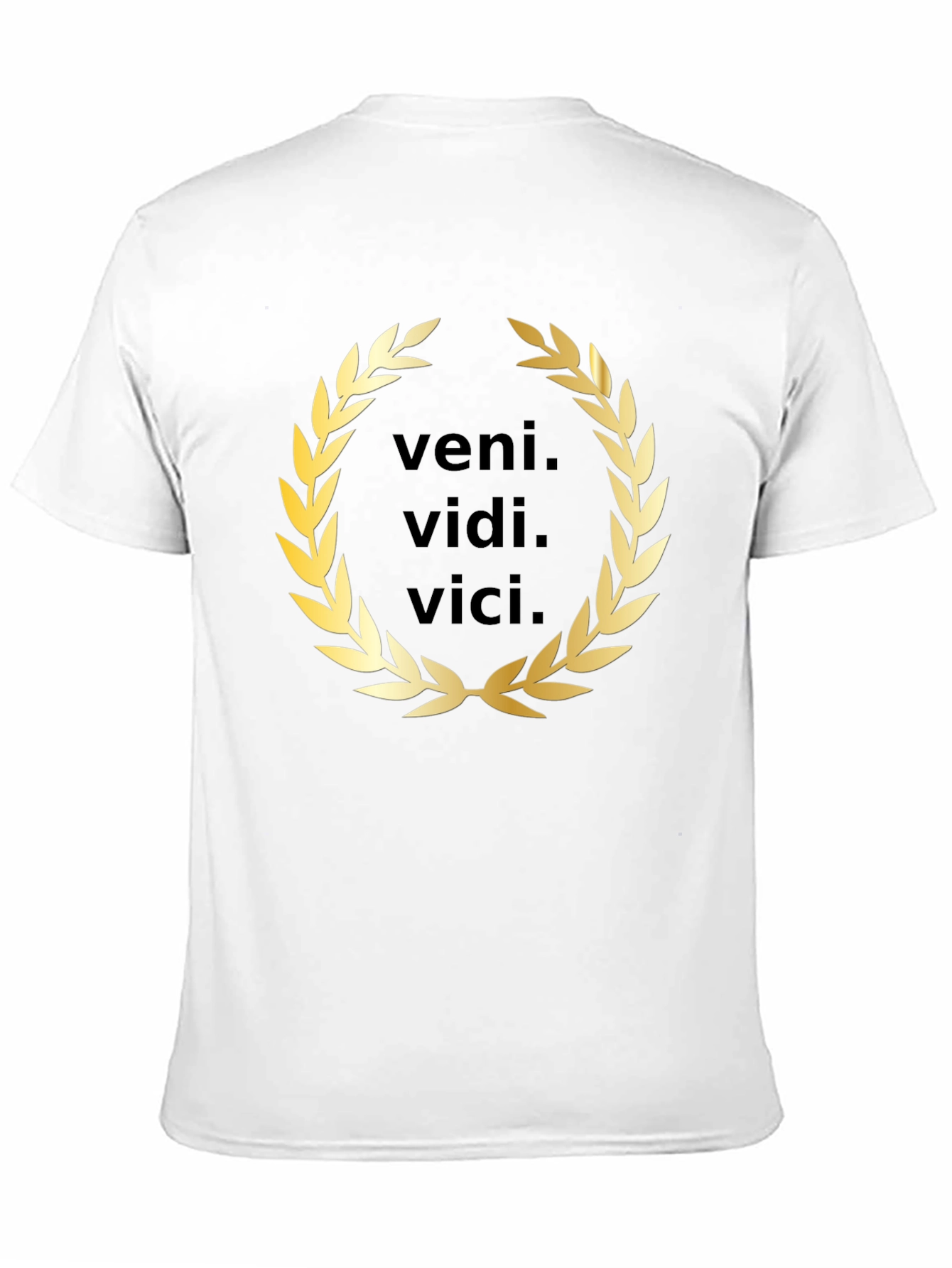 Veni Vidi Vici T-Shirt - Classic Latin Phrase