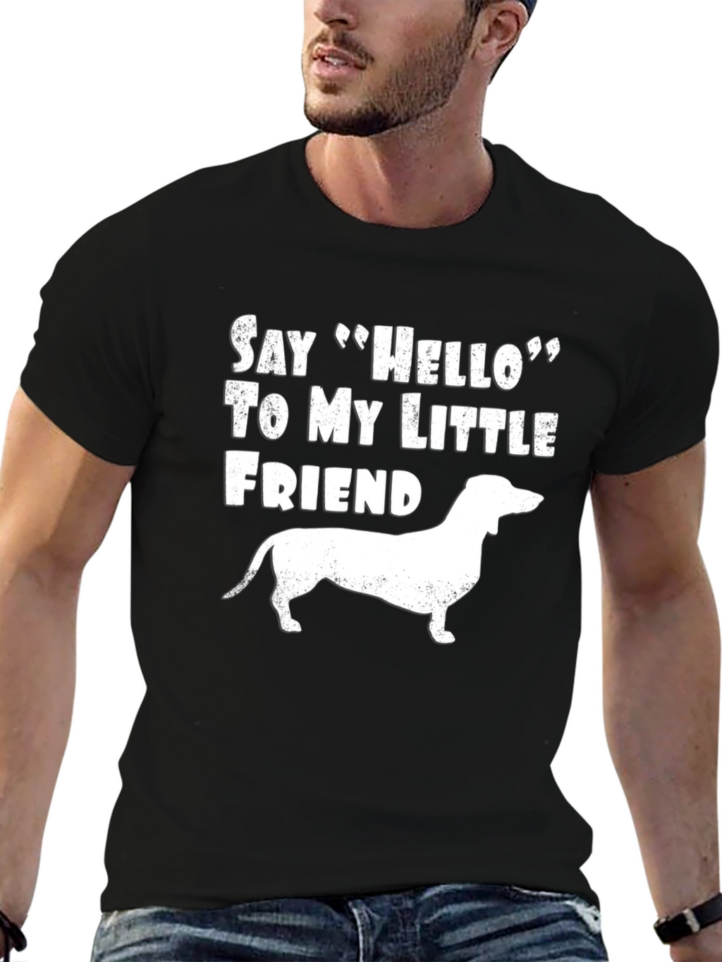 Dachshund Dog T-Shirt: Say Hello to My Little Friend
