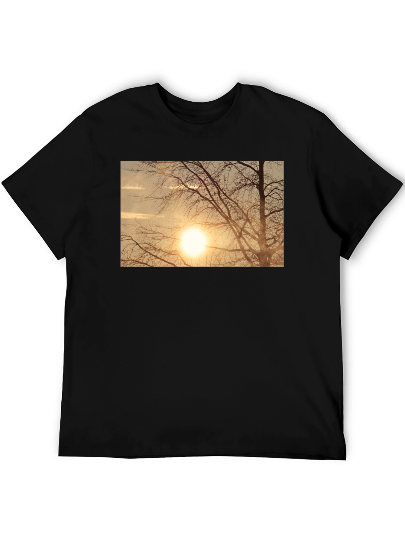 Sunset Tree Graphic Black T-Shirt